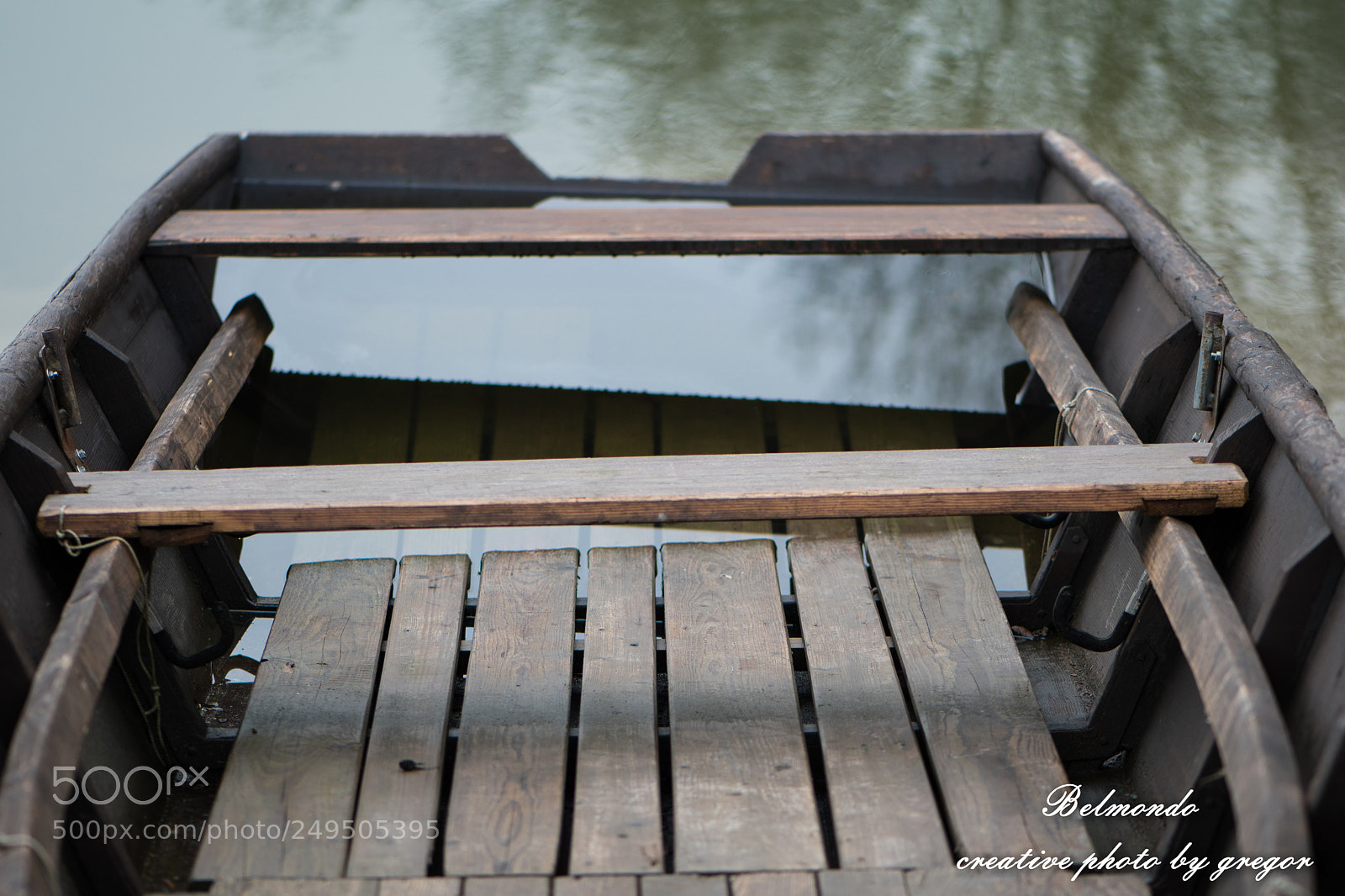Nikon D500 sample photo. Untitled photography