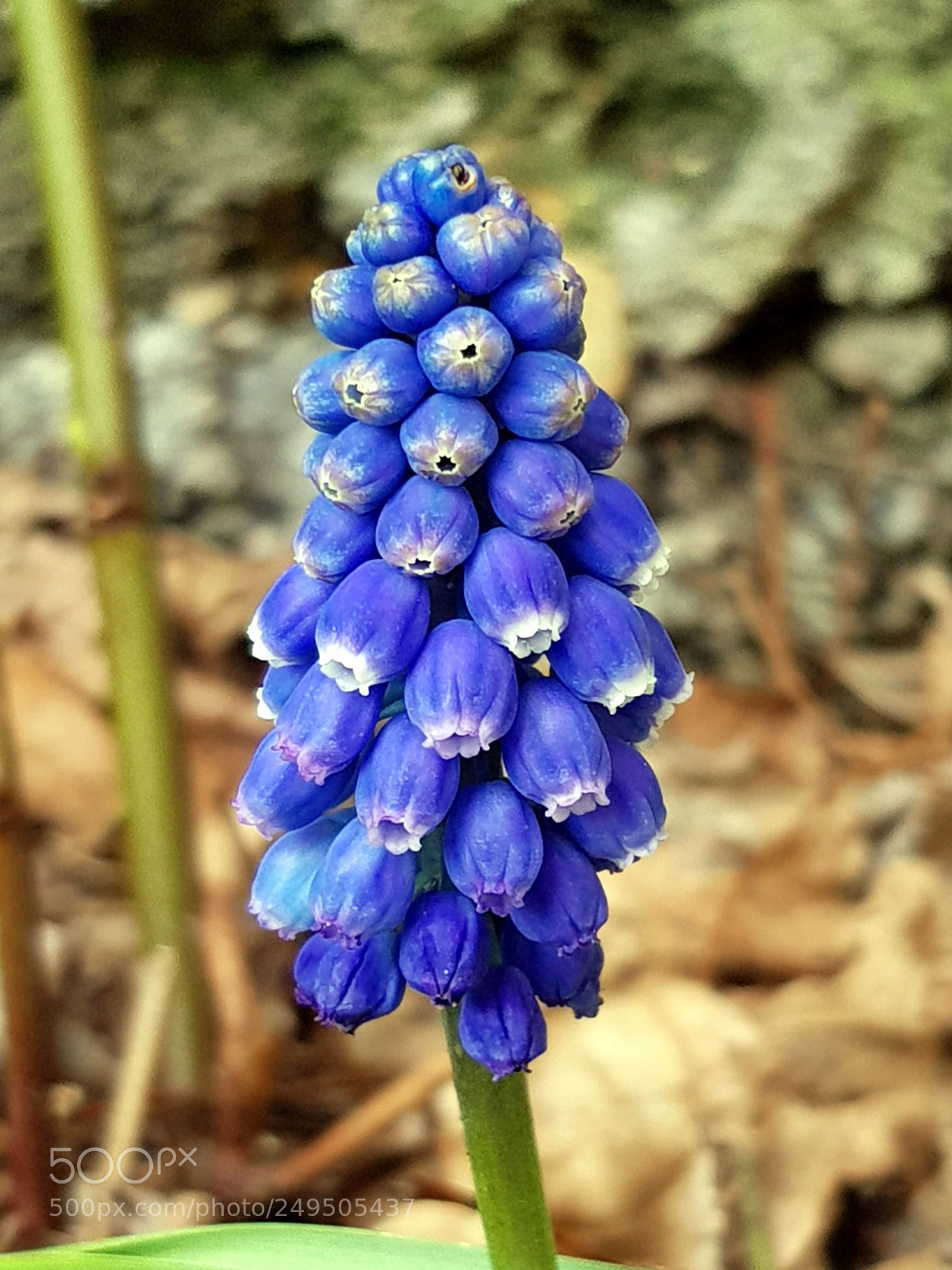 Samsung Galaxy S8 sample photo. The first photography