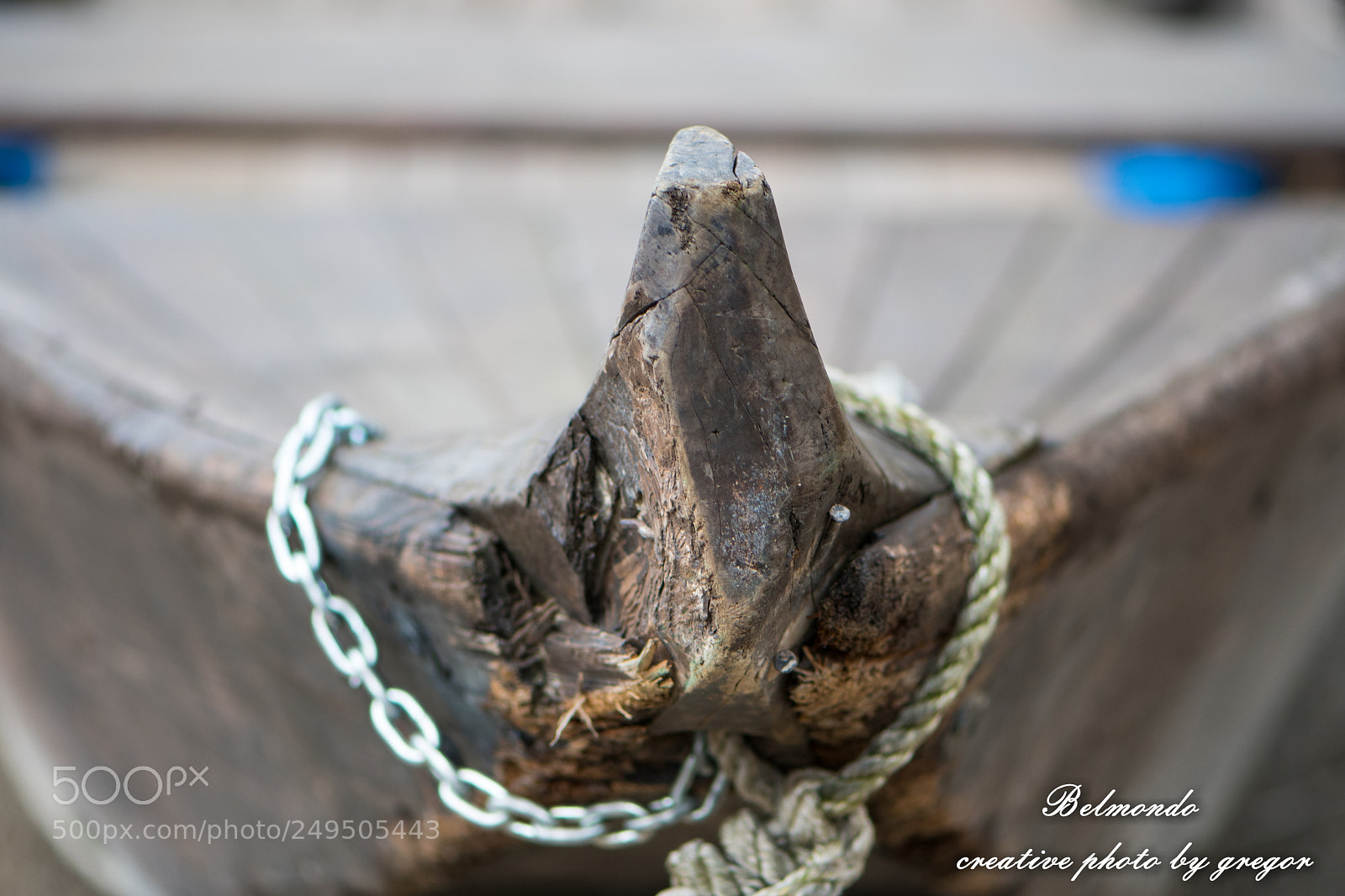 Nikon D500 sample photo. Untitled photography