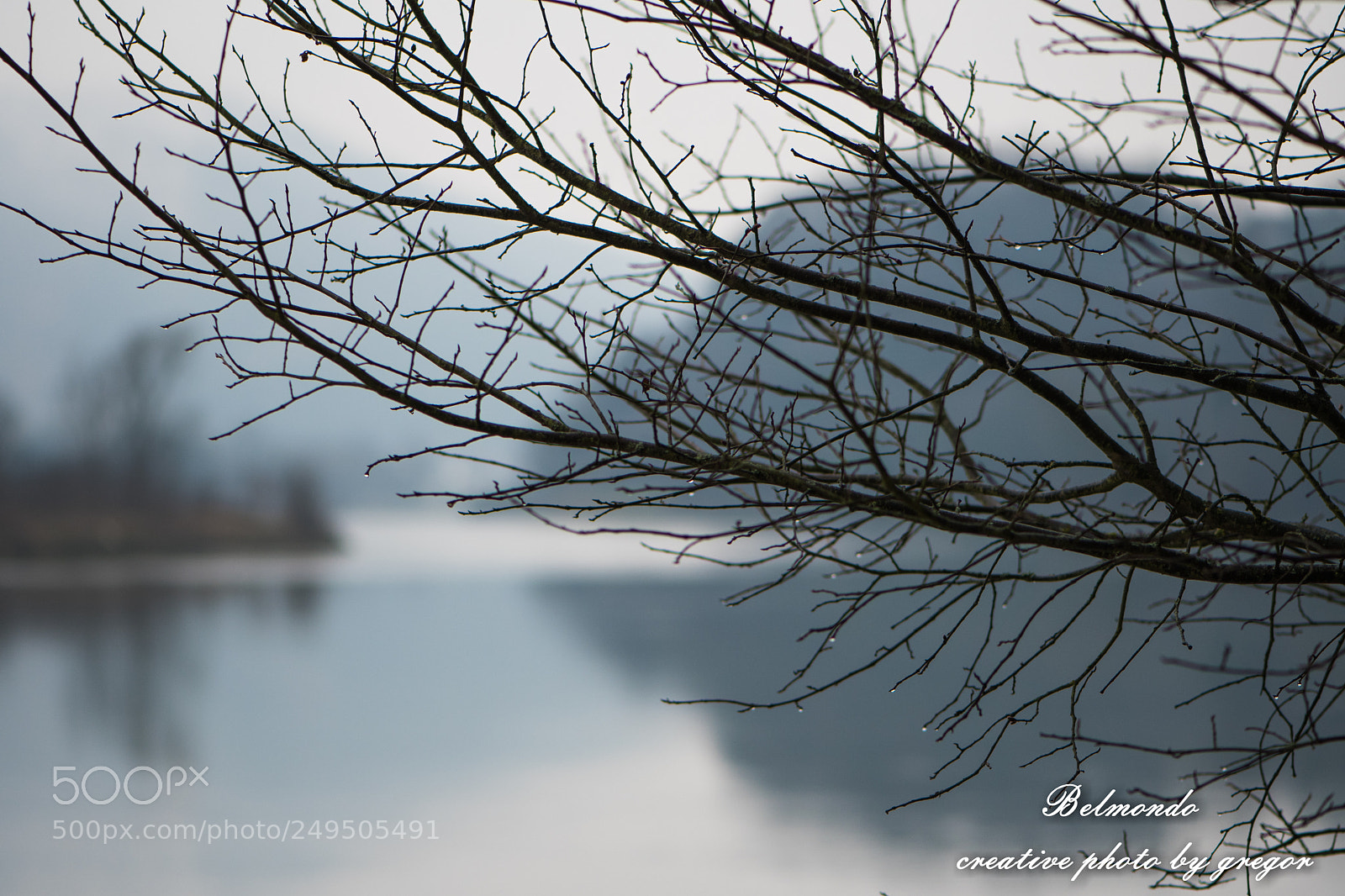 Nikon D500 sample photo. Untitled photography