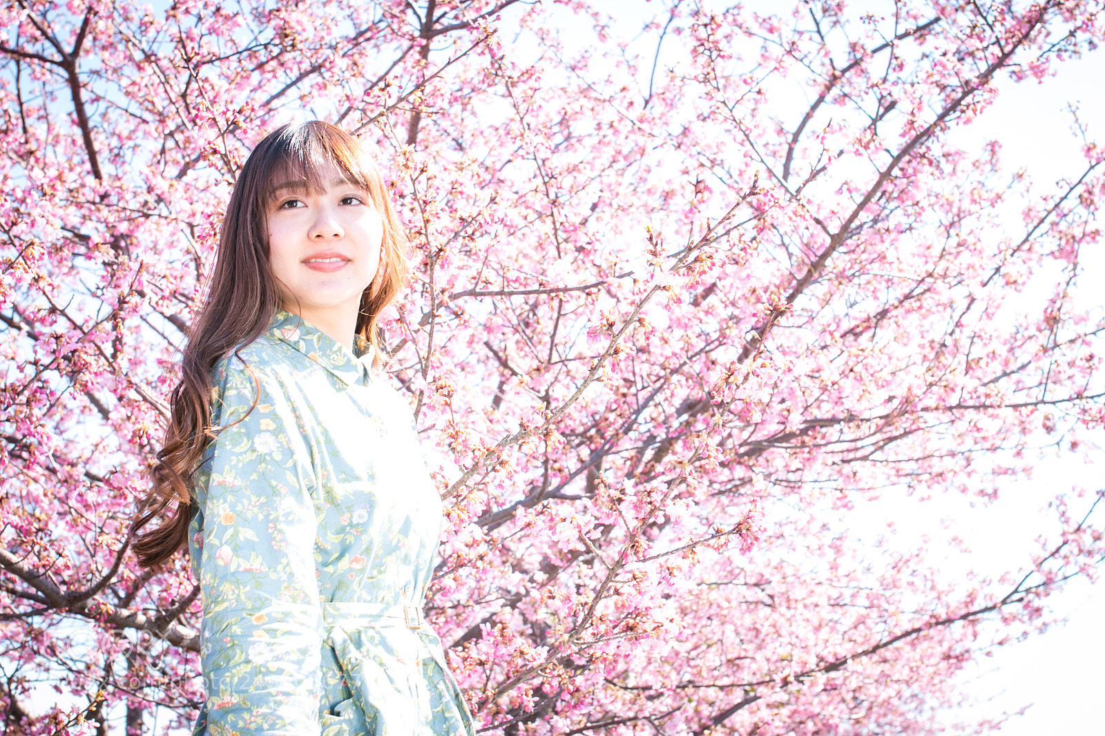 Canon EOS 70D sample photo. Full spring photography