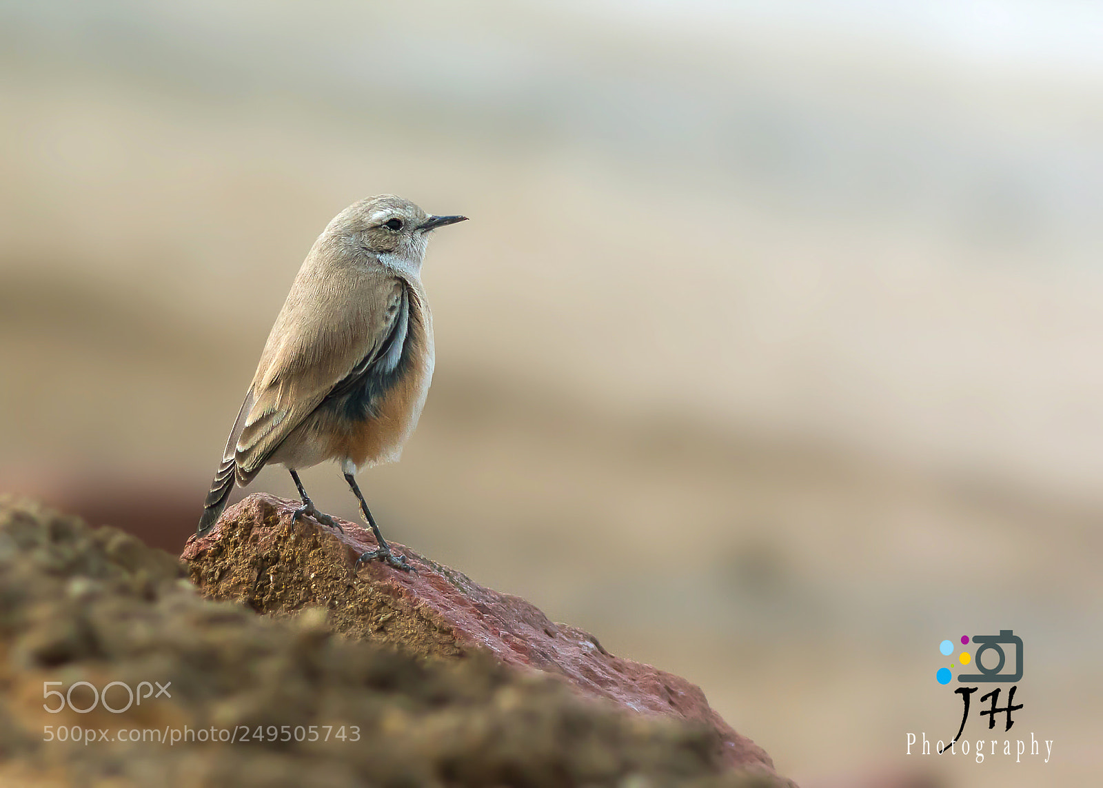Canon EOS 70D sample photo. Beauty of nature photography