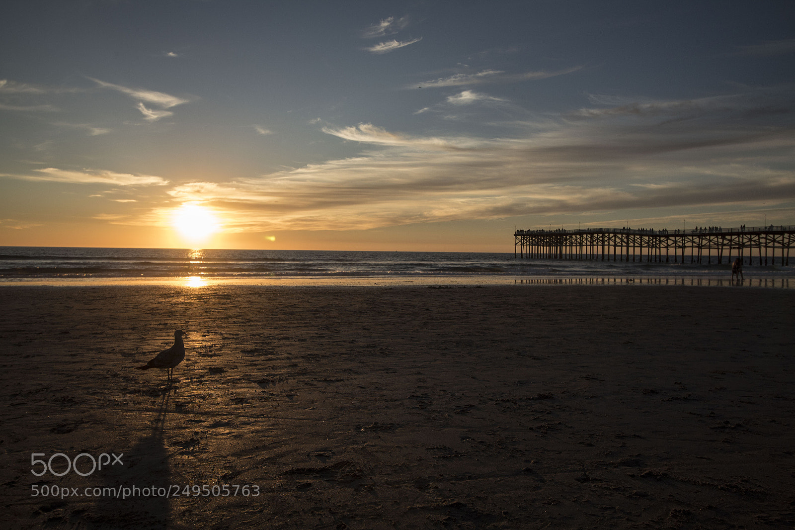 Canon EOS 1300D (EOS Rebel T6 / EOS Kiss X80) sample photo. Crystal pier at sunset photography