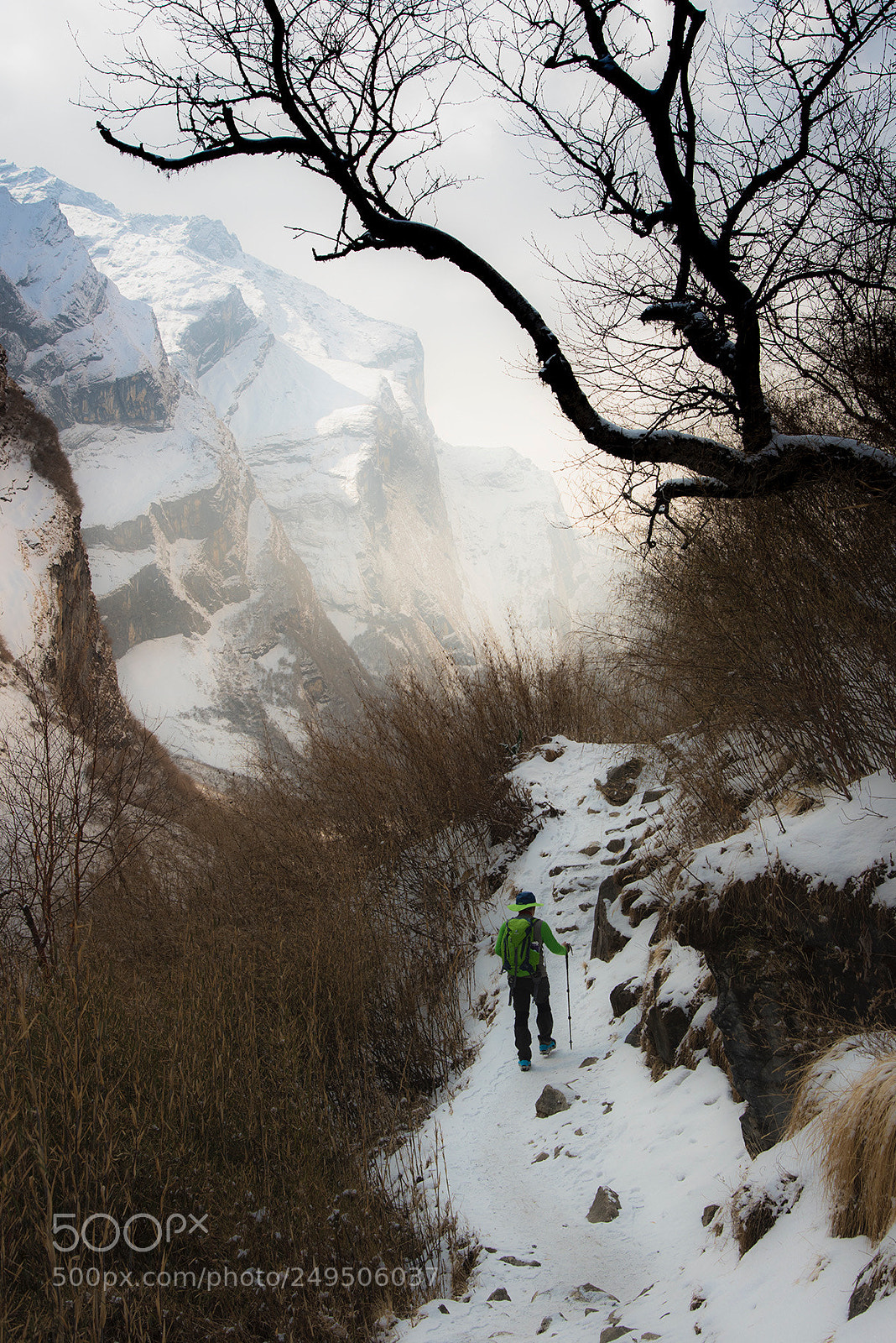 Nikon D810 sample photo. Abc trekking in nepal . photography
