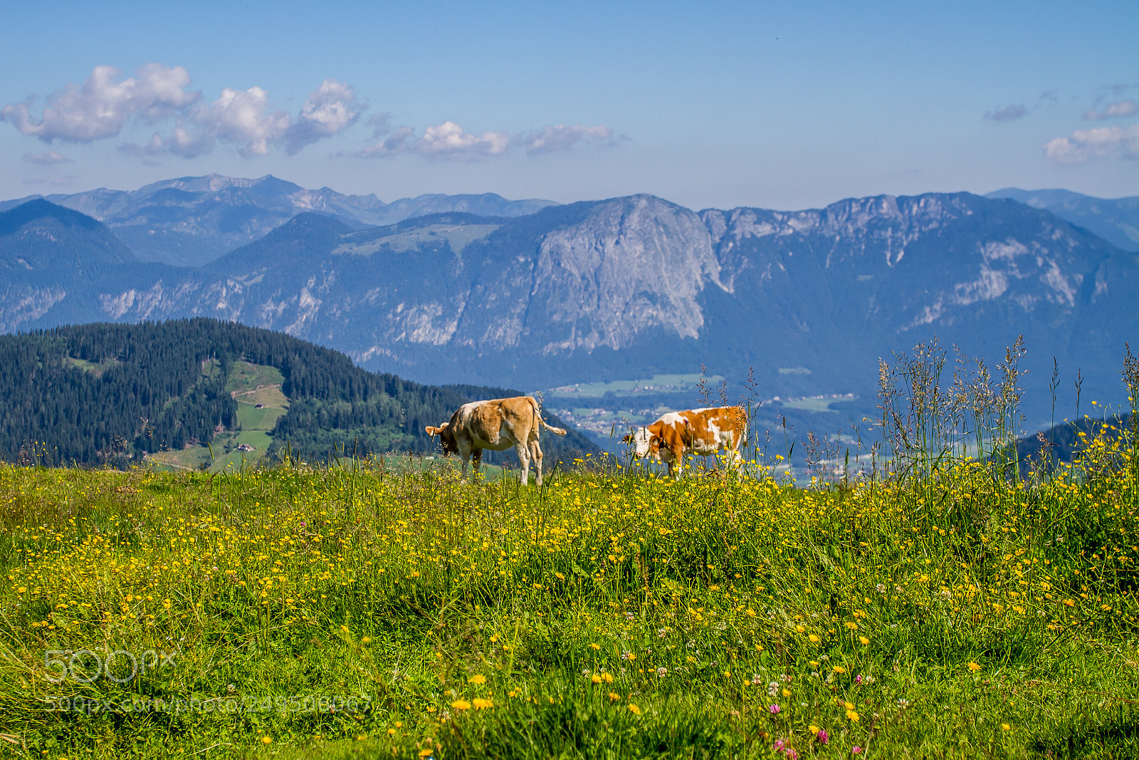 Canon EOS 7D sample photo. Tyrol photography