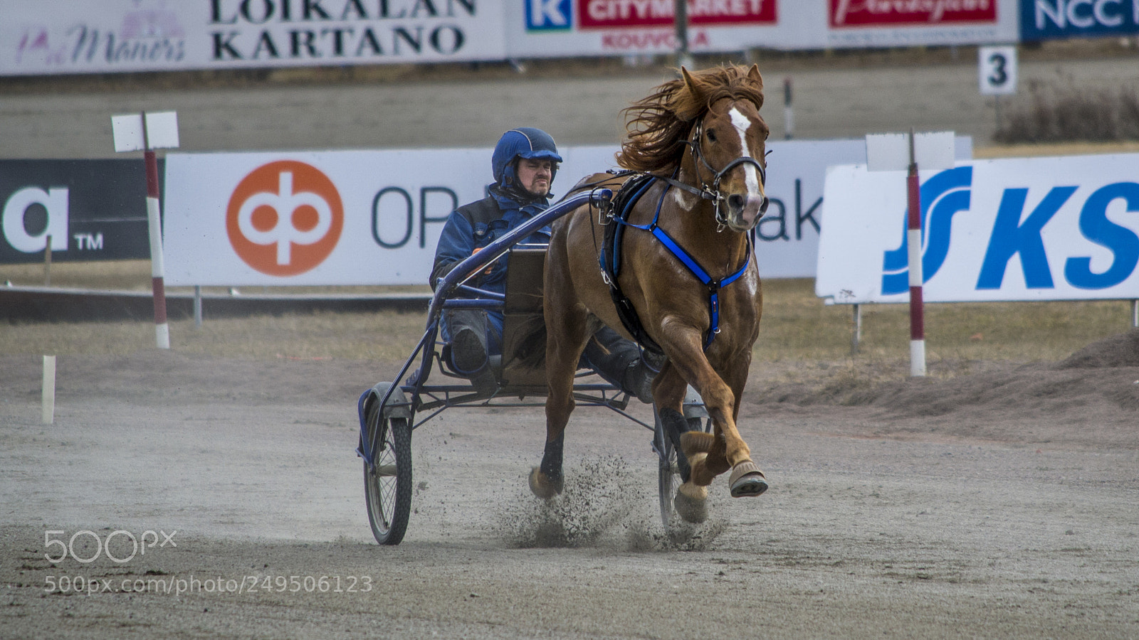 Nikon D3100 sample photo. Finnish racehorse photography