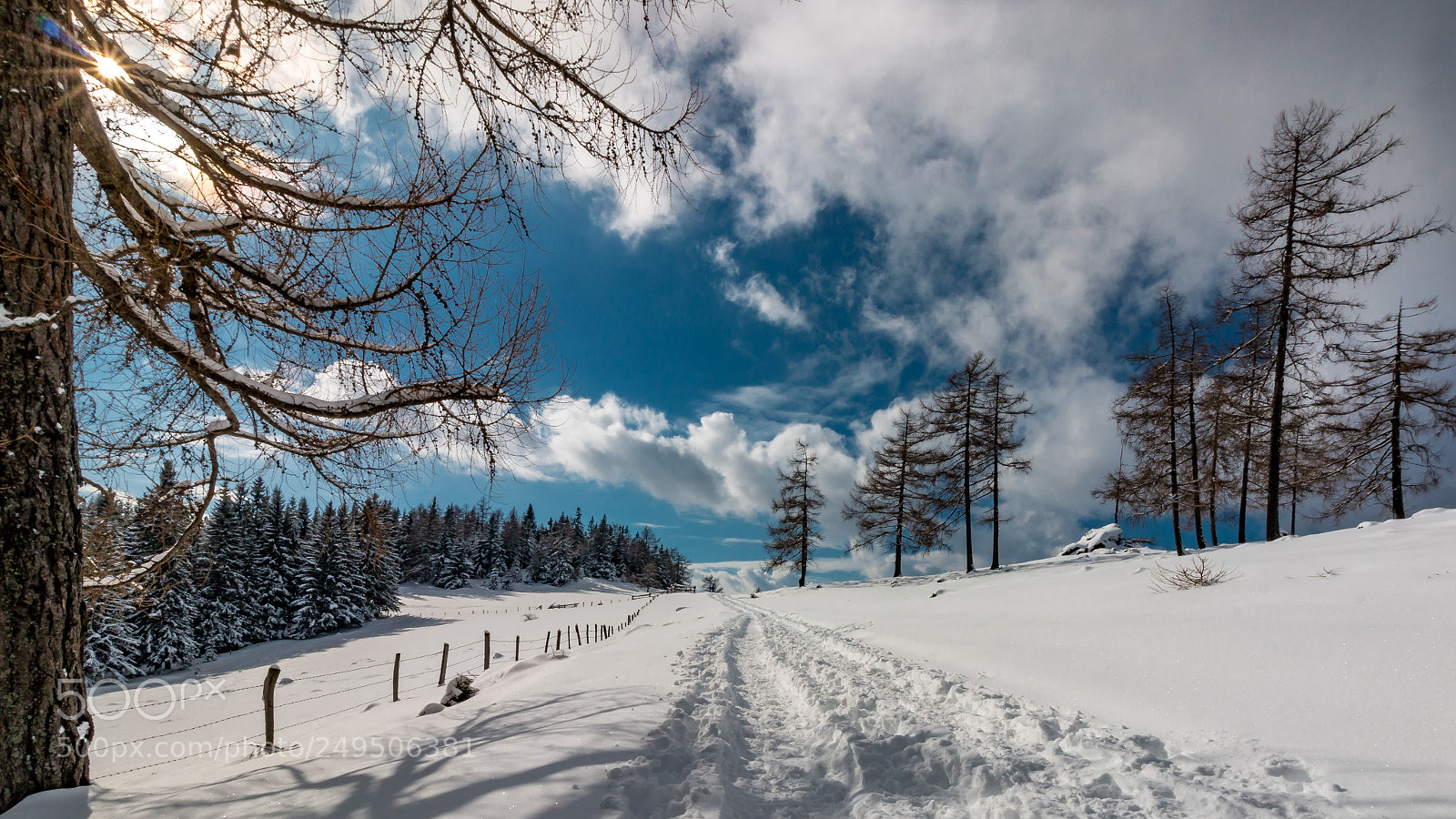 Canon EOS 70D sample photo. Pack photography