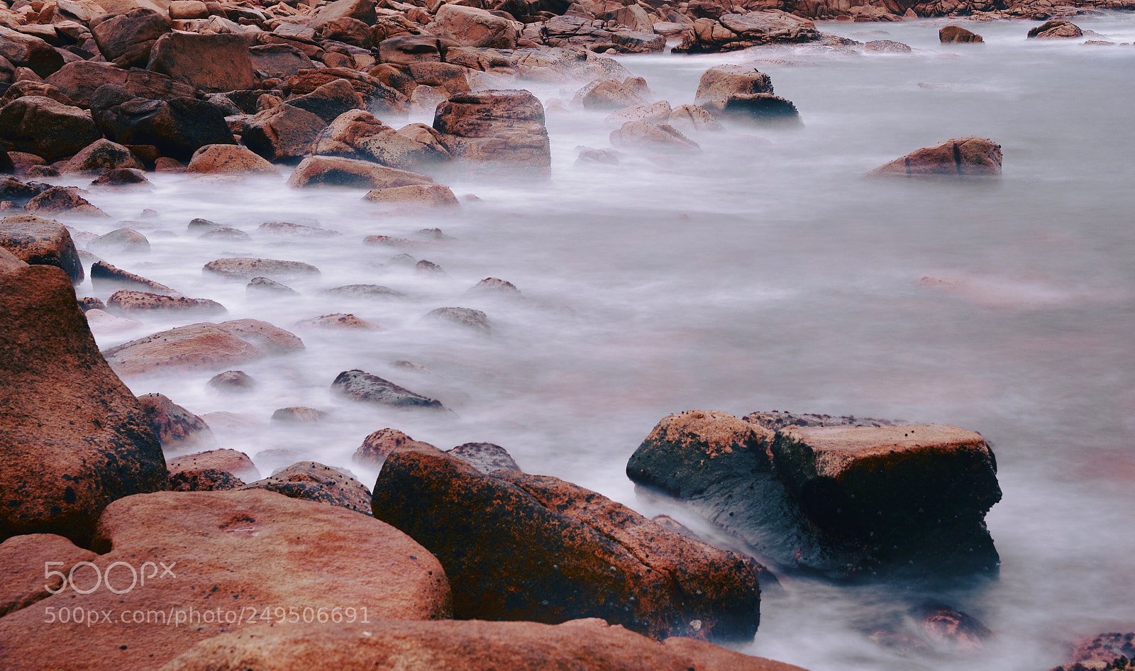 Nikon D610 sample photo. Sheko of hong kong photography