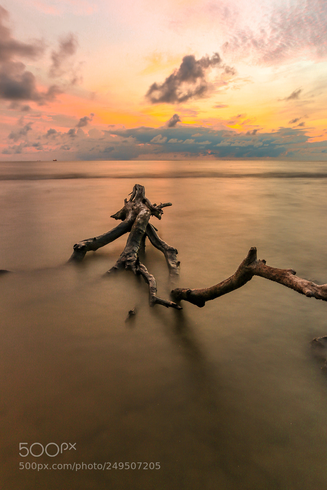 Canon EOS 70D sample photo. Driftwood at sunset photography