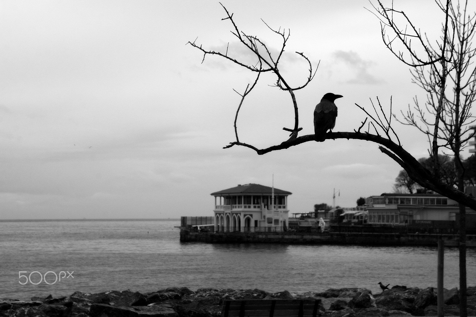 Sigma 18-250mm F3.5-6.3 DC OS HSM sample photo. İstanbul photography