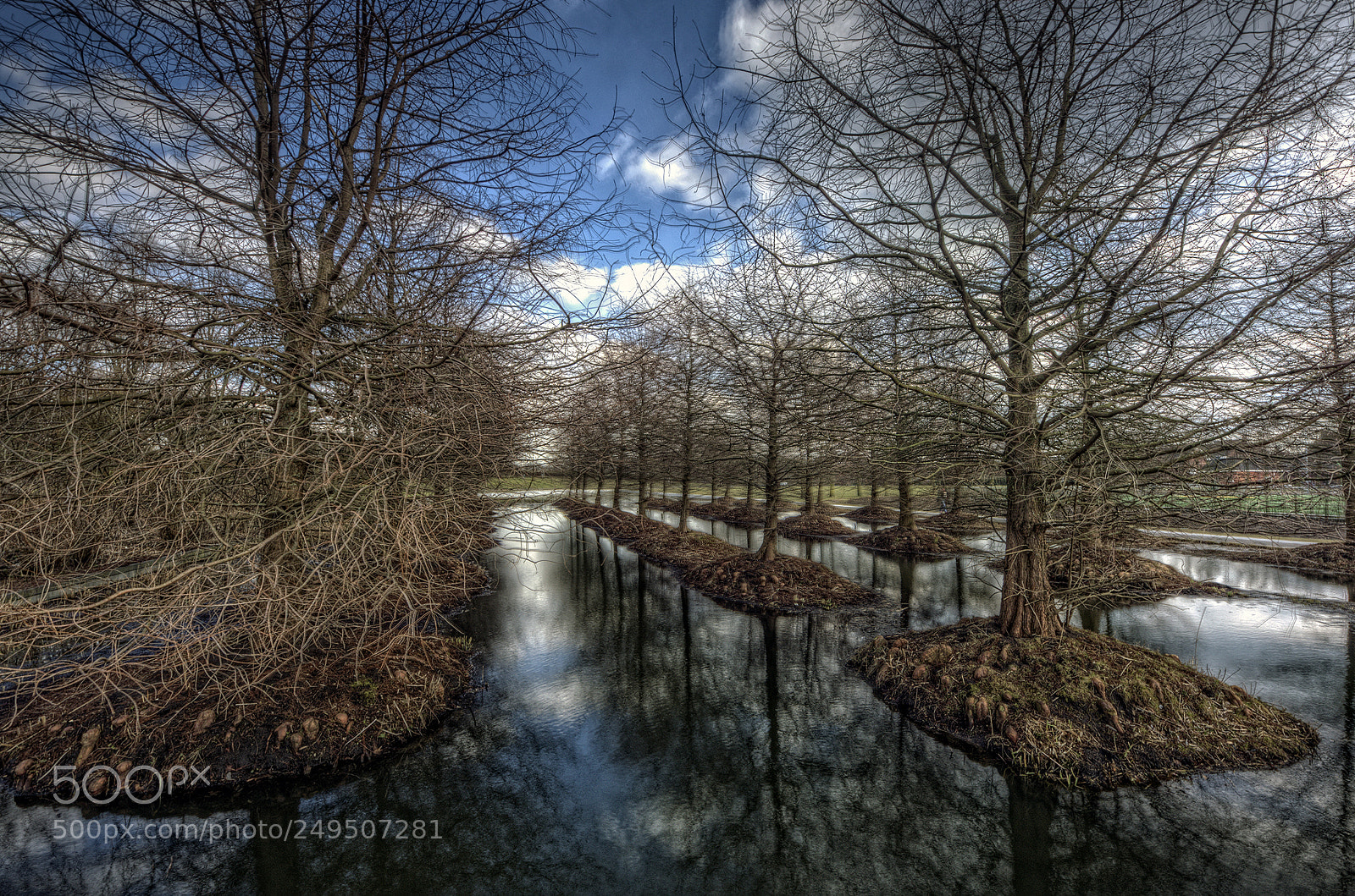 Sony SLT-A65 (SLT-A65V) sample photo. Dreaming of spring v2 photography