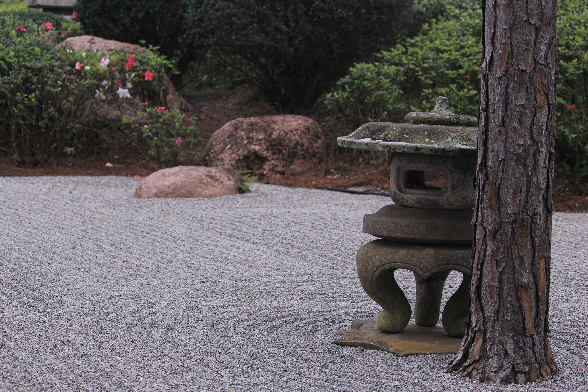 Canon EF-S 55-250mm F4-5.6 IS STM sample photo. Img photography