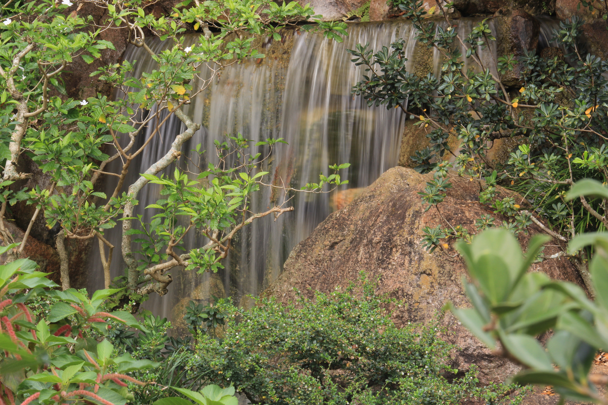 Canon EF-S 55-250mm F4-5.6 IS STM sample photo. Img photography