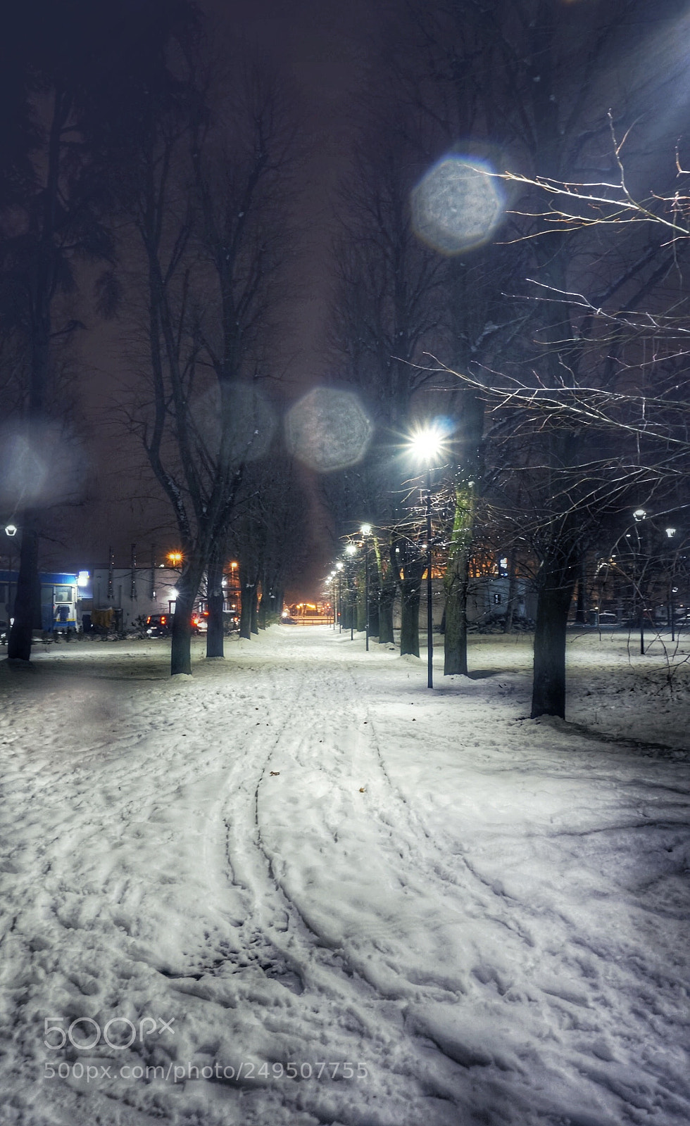 Sony a6000 sample photo. Winter ❄️ photography