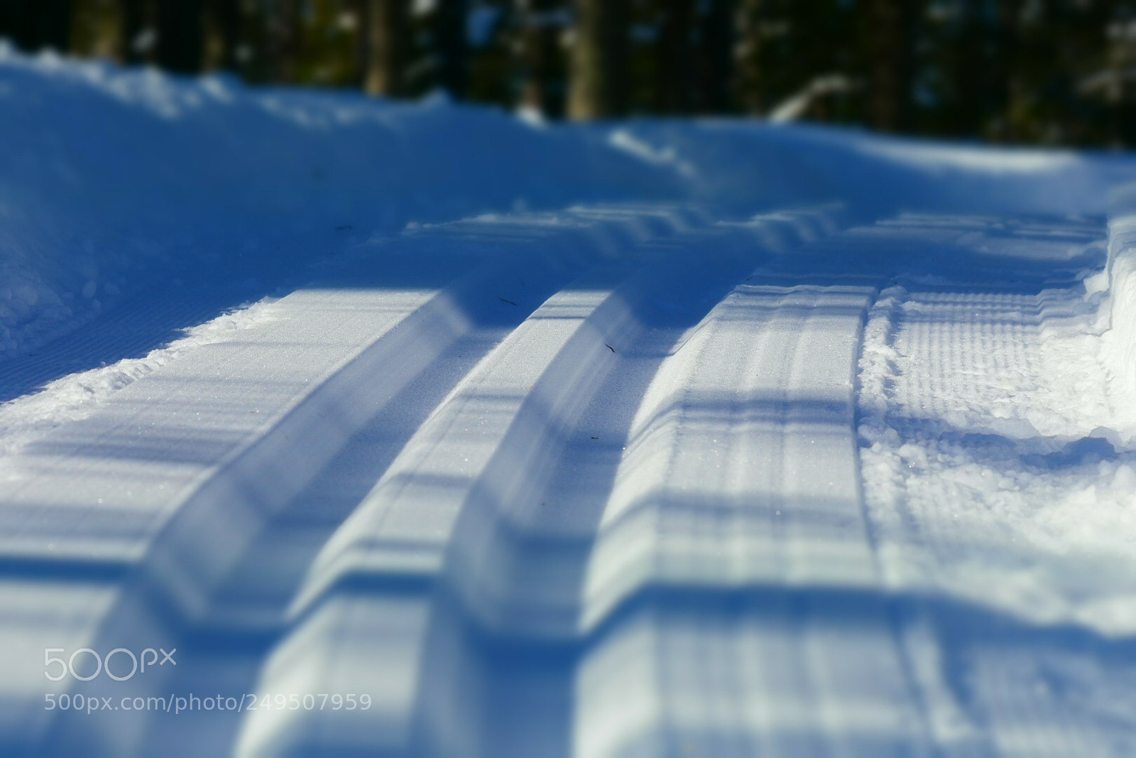 Nikon D7200 sample photo. Ski photography
