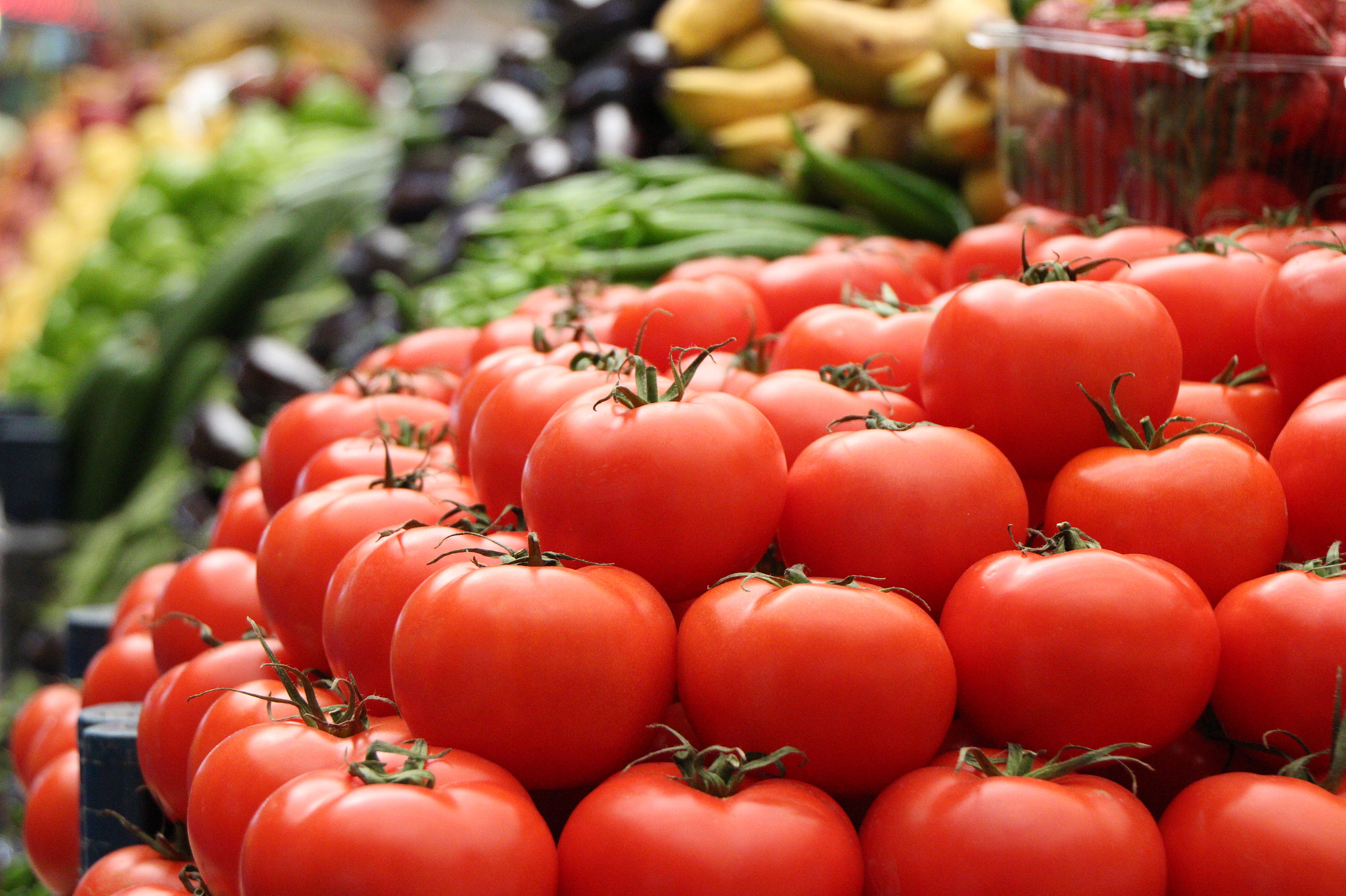 Canon EOS 100D (EOS Rebel SL1 / EOS Kiss X7) sample photo. The tomatos photography