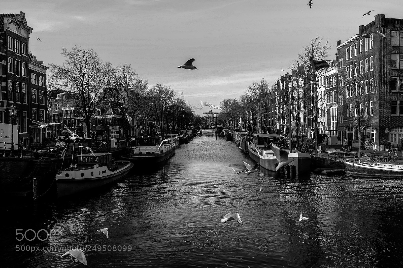Fujifilm X-T1 sample photo. "dans le port d'amsterdam" photography