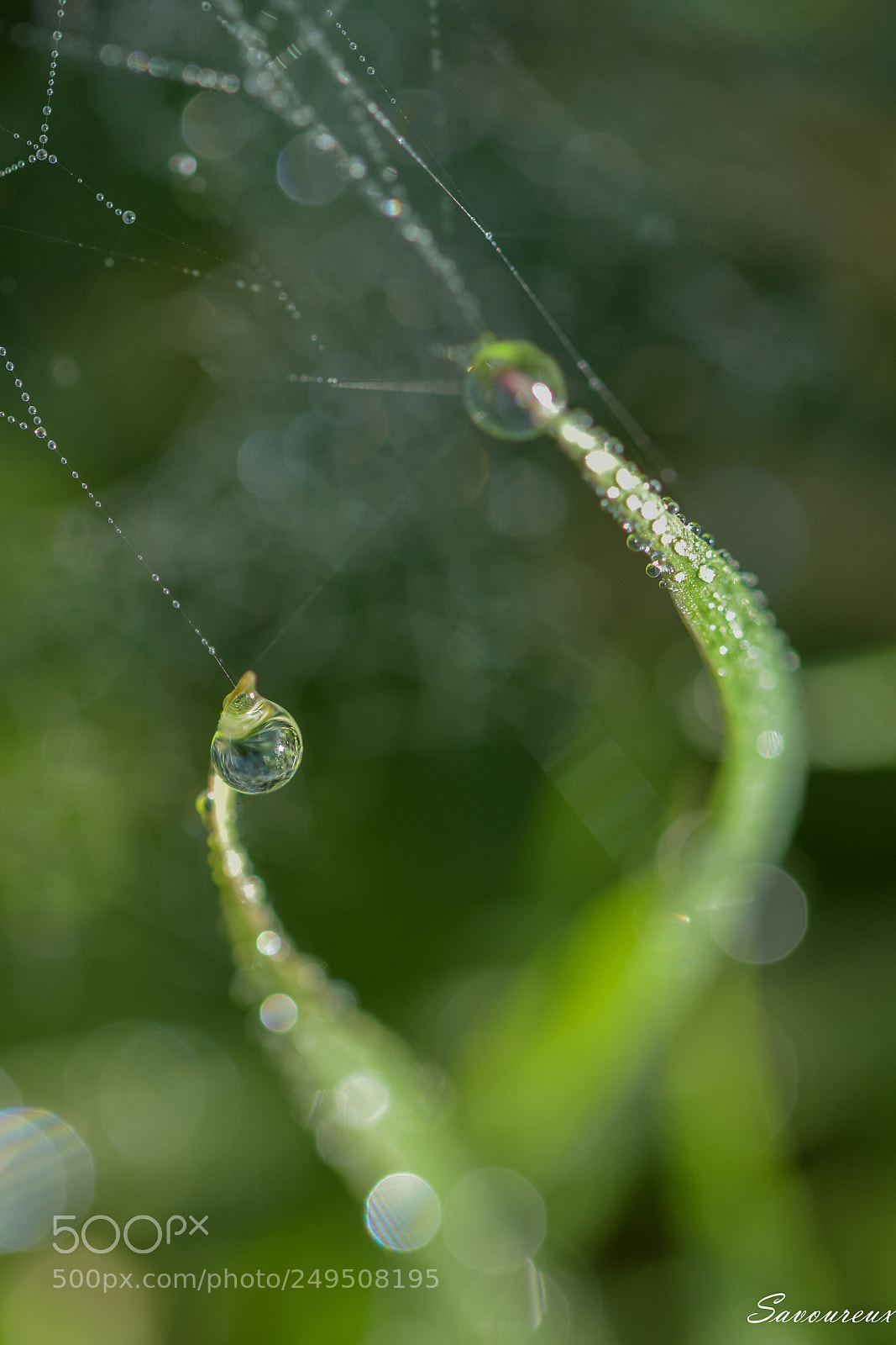 Nikon D5500 sample photo. Jour de pluie photography