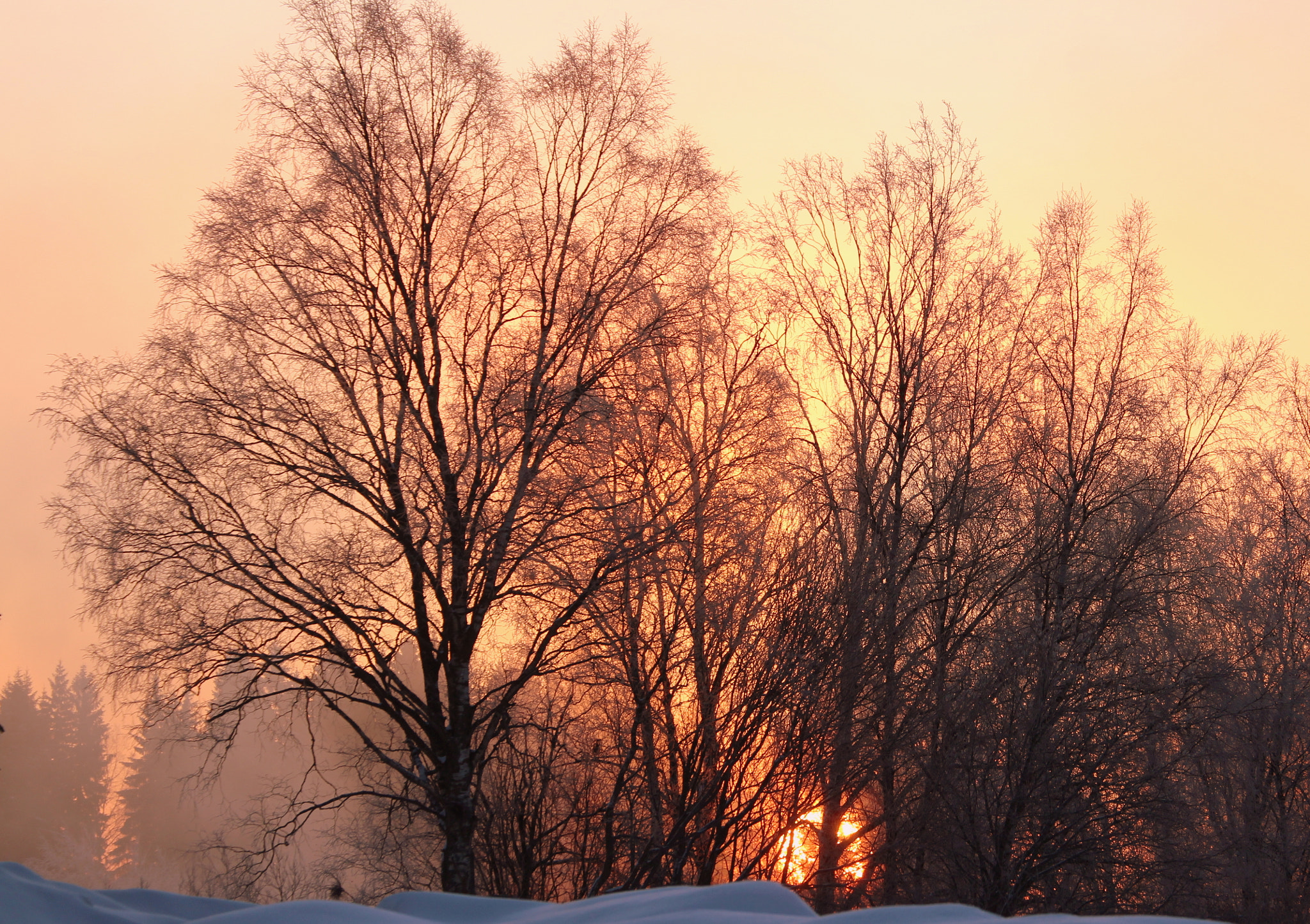Canon EOS 700D (EOS Rebel T5i / EOS Kiss X7i) sample photo. Sunrise and - 24 c photography