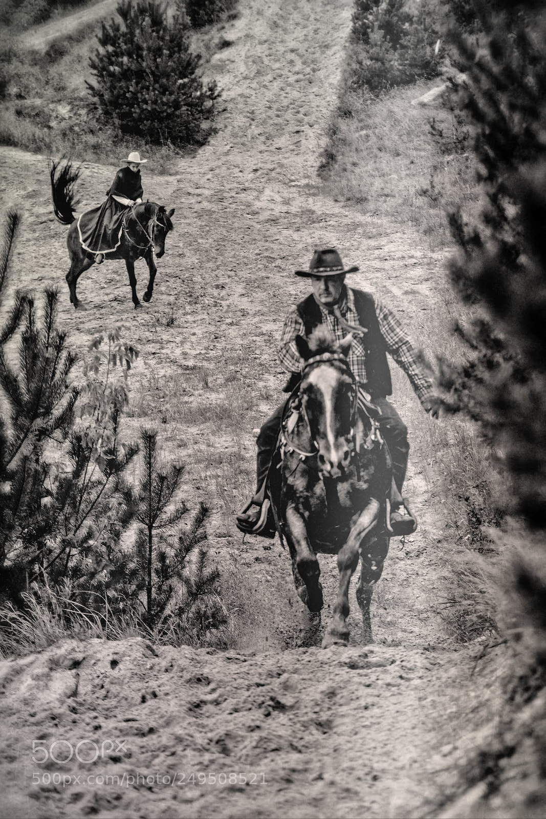 Sony SLT-A99V sample photo. Wild west galopp photography