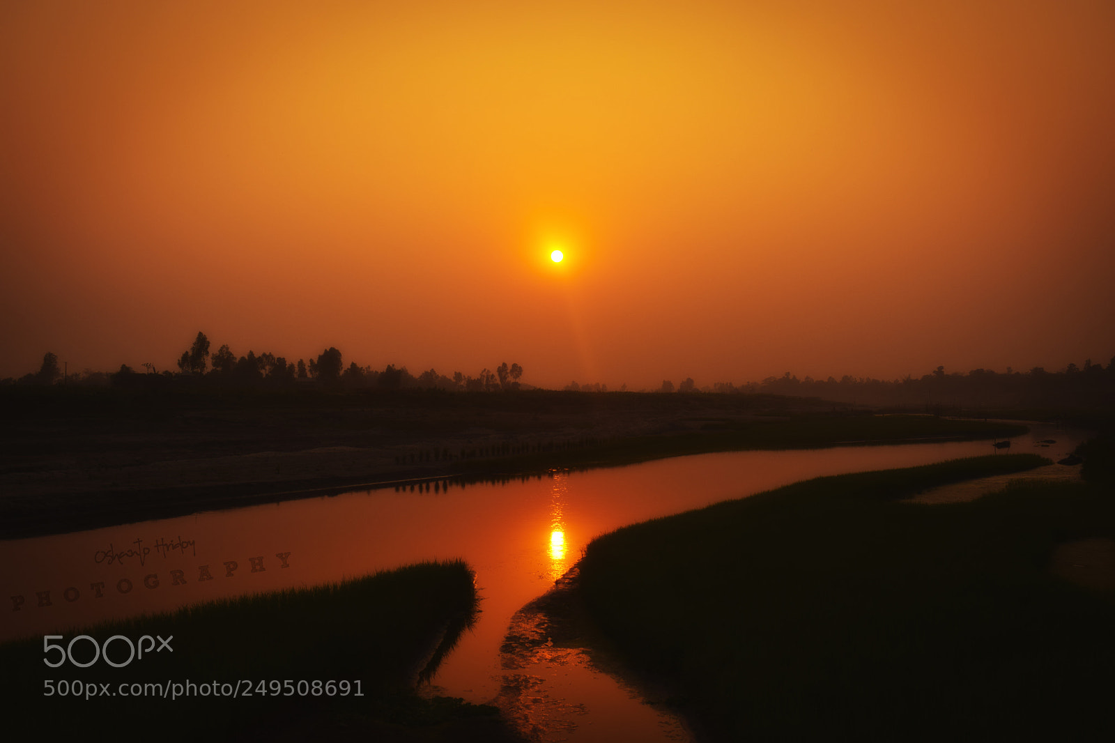 Nikon D5300 sample photo. Sun set photography