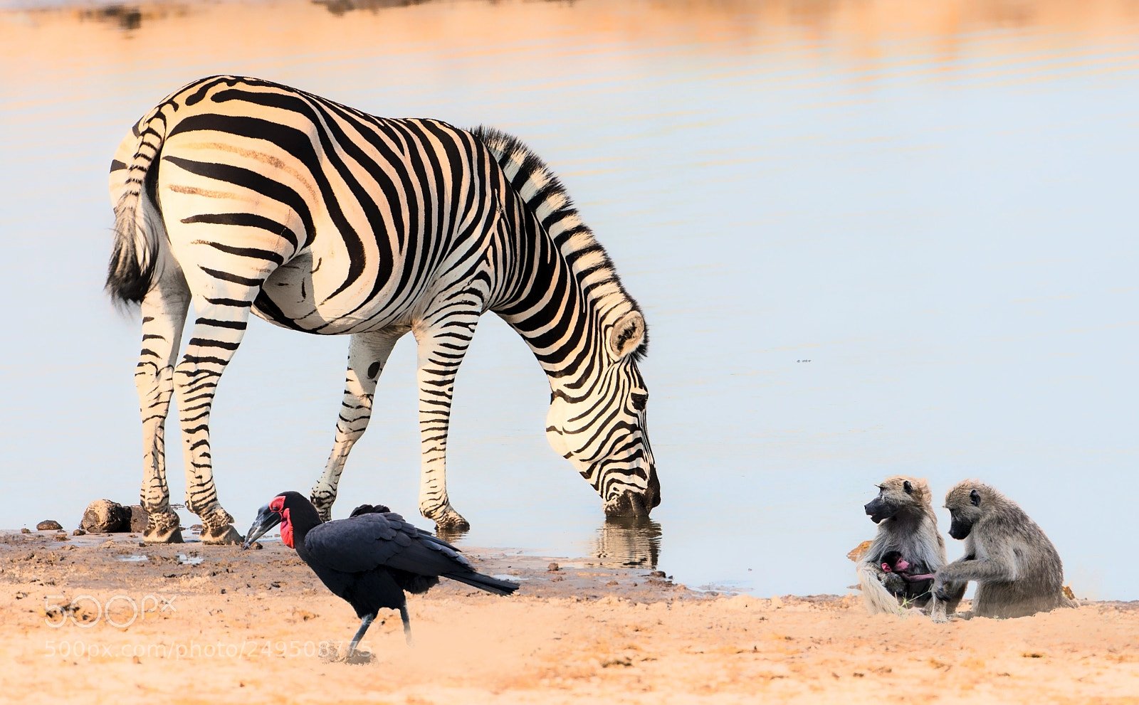 Canon EOS 30D sample photo. Down at the waterhole photography