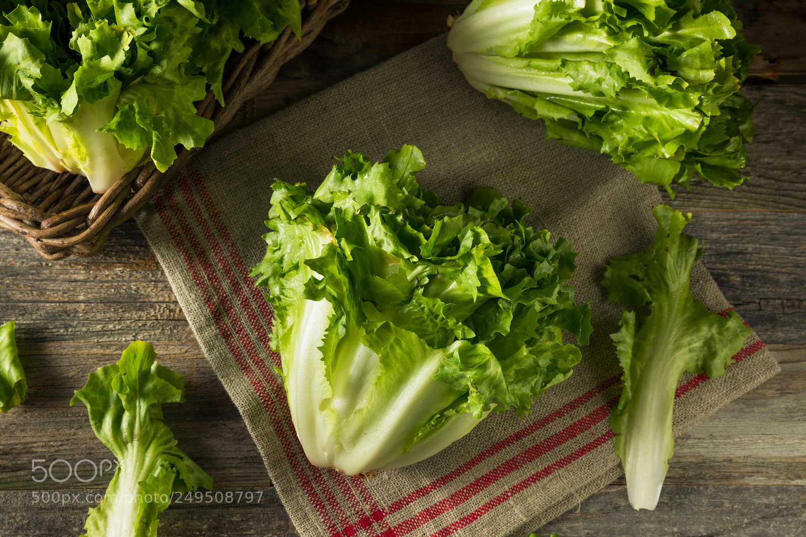Canon EOS 5D Mark IV sample photo. Raw green organic escarole photography