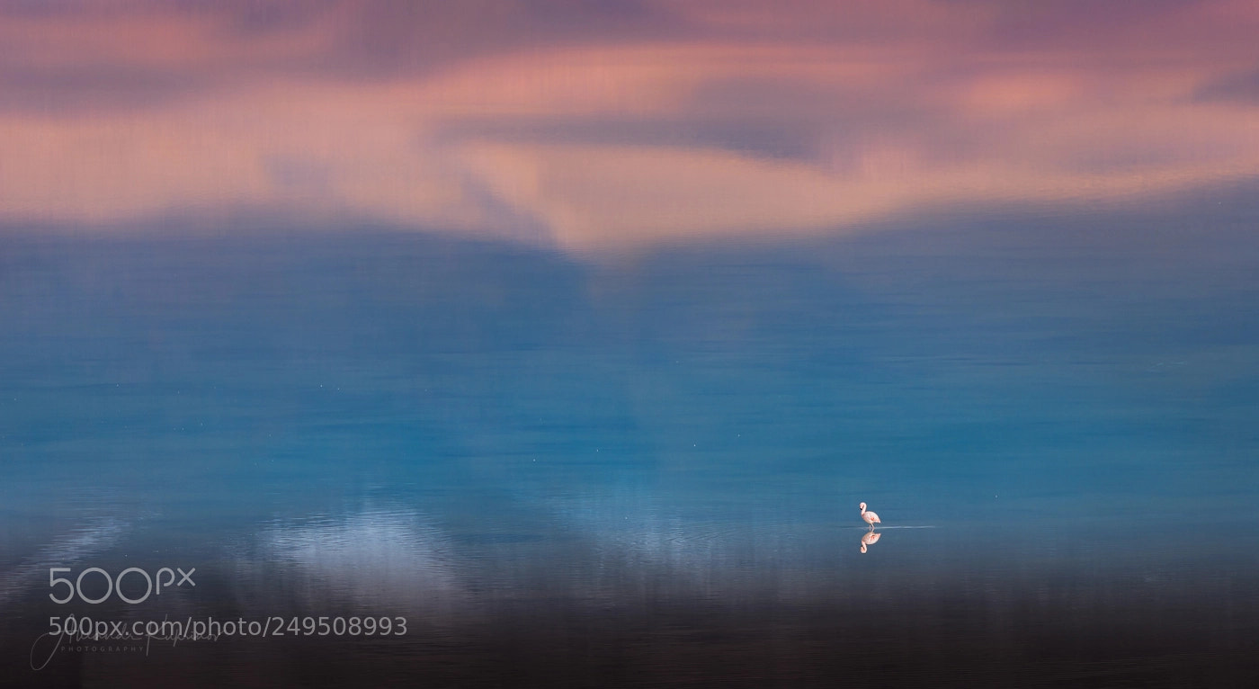 Nikon D810 sample photo. Morning in laguna blanca... photography