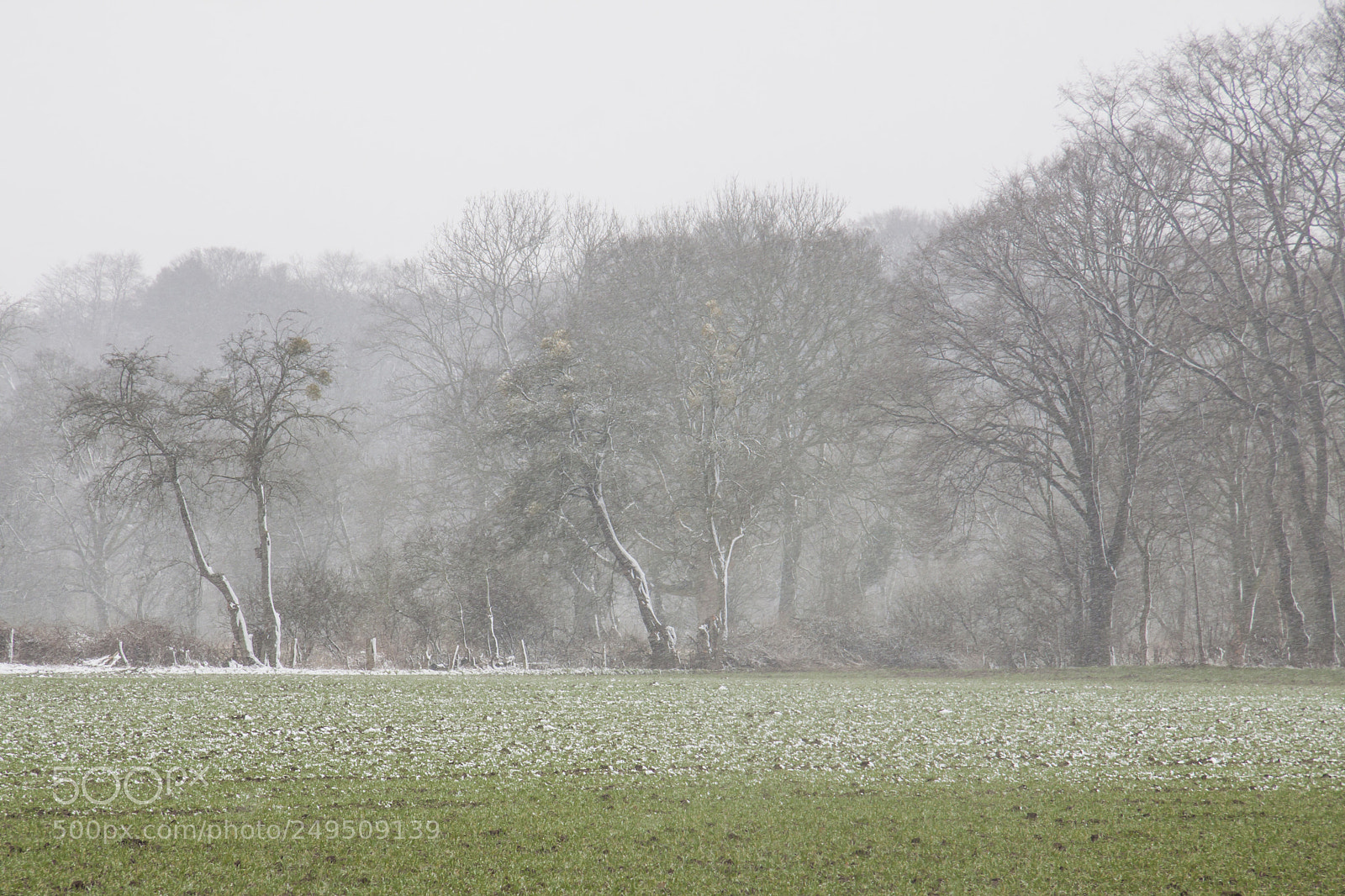 Canon EOS 50D sample photo. Winter landscape photography