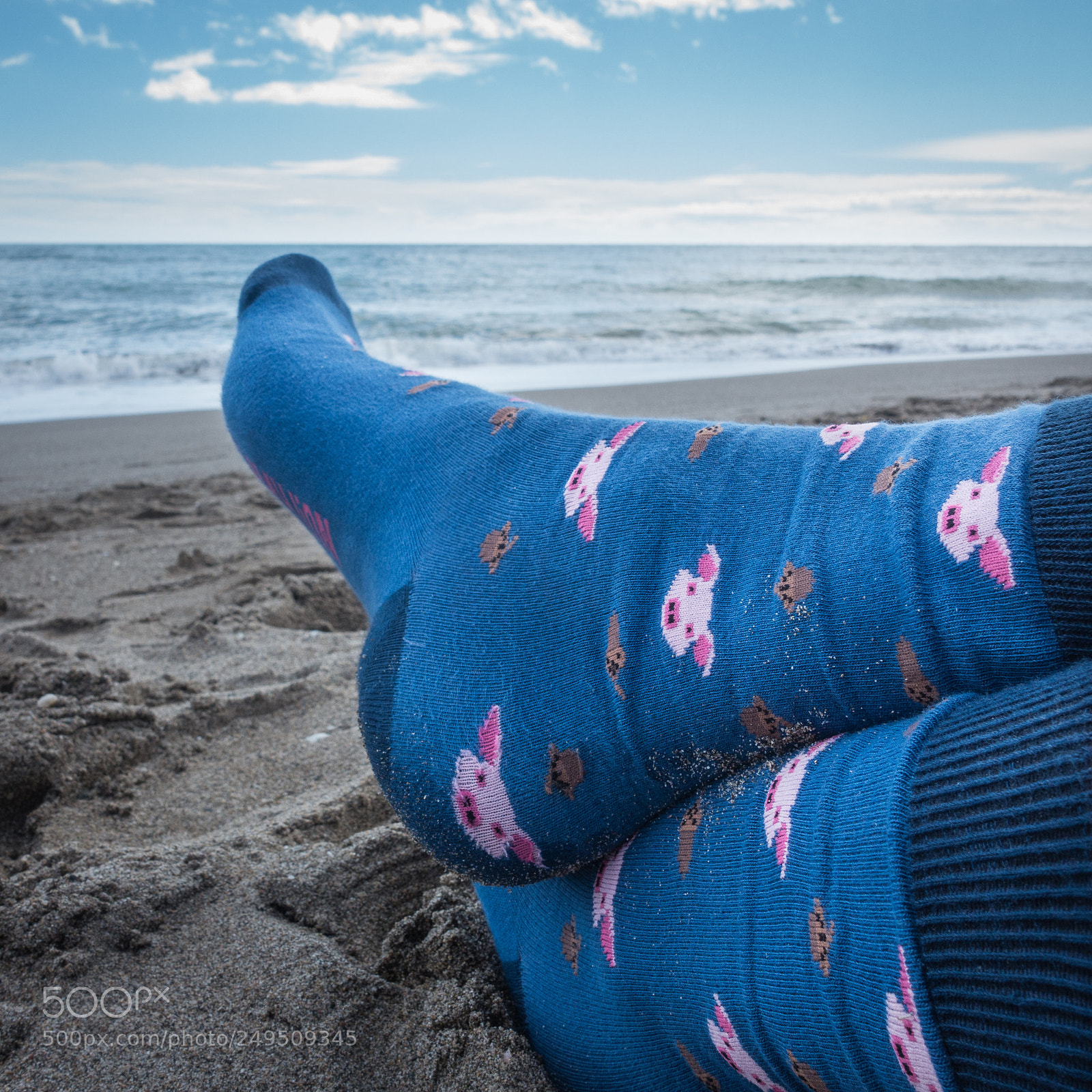 Sony Cyber-shot DSC-RX100 III sample photo. Piggies on the beach photography