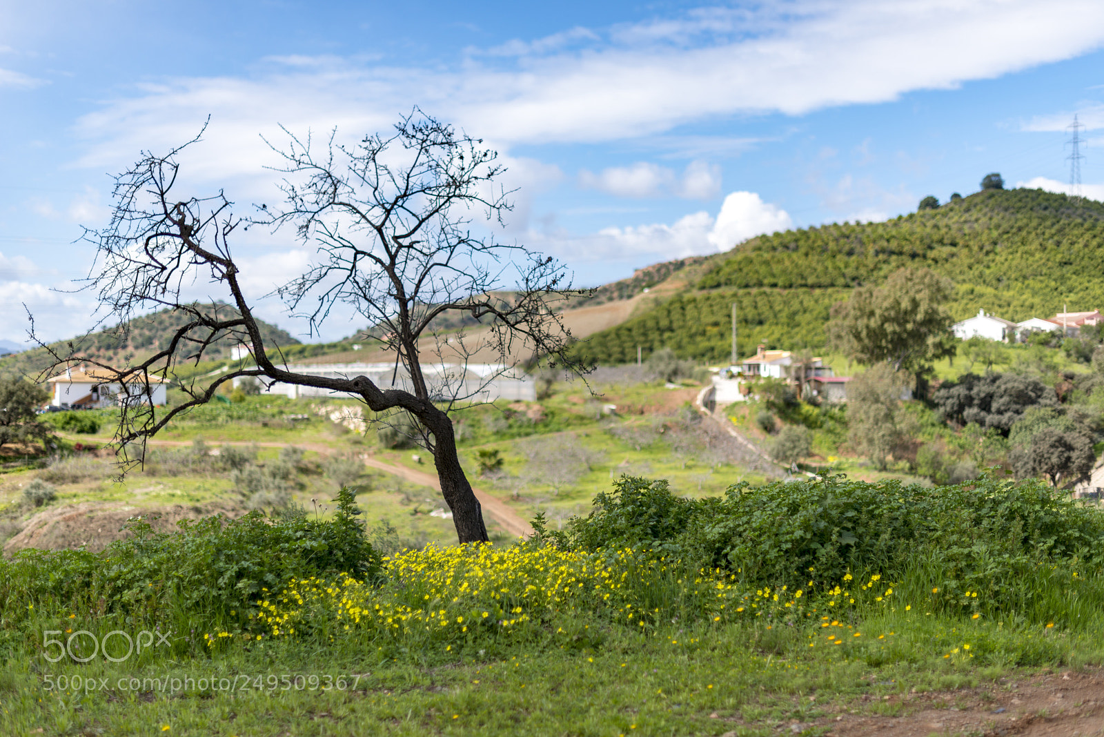 Nikon D800 sample photo. Paisaje cerca de almog photography