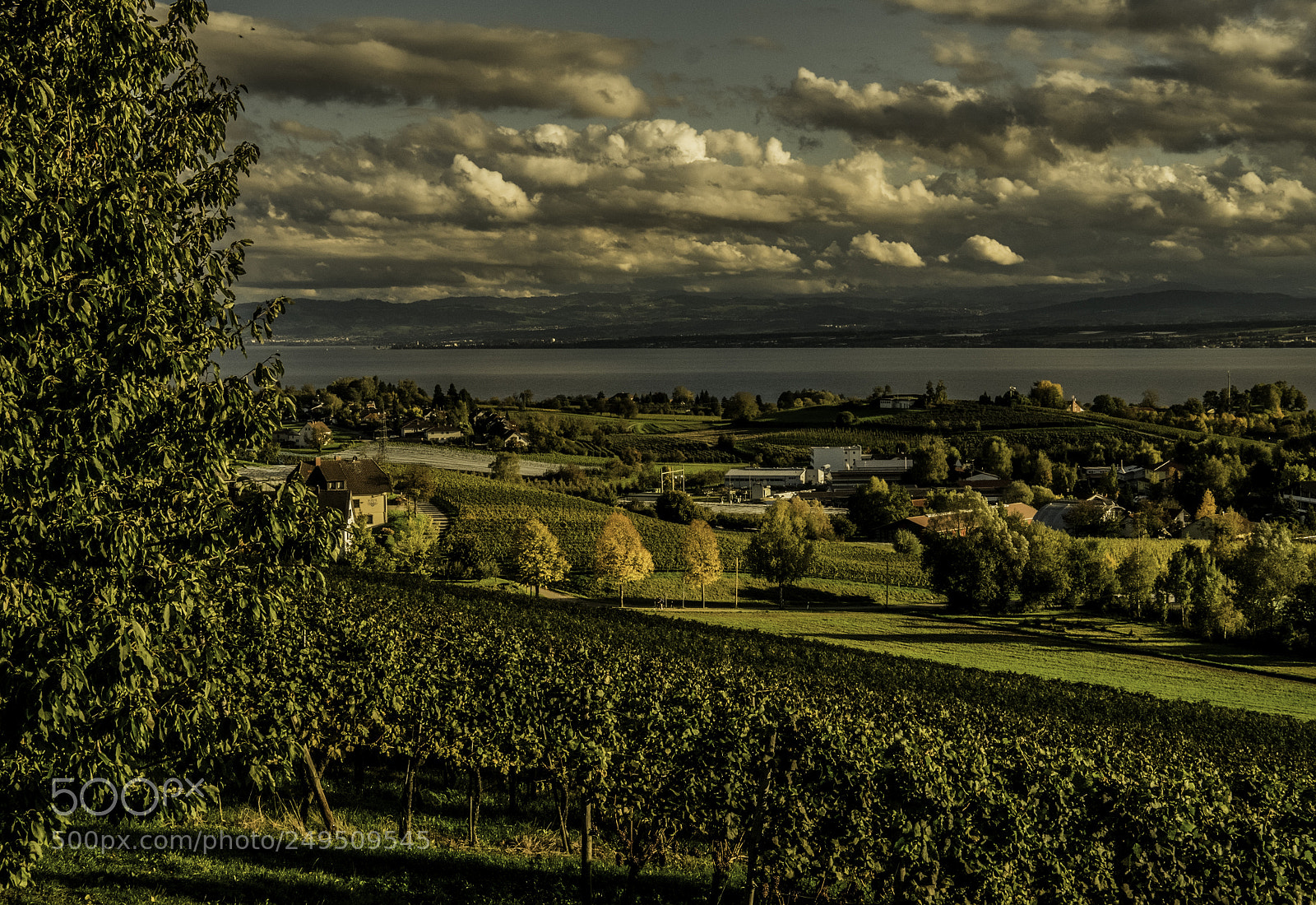 Fujifilm X-T1 sample photo. Open country photography