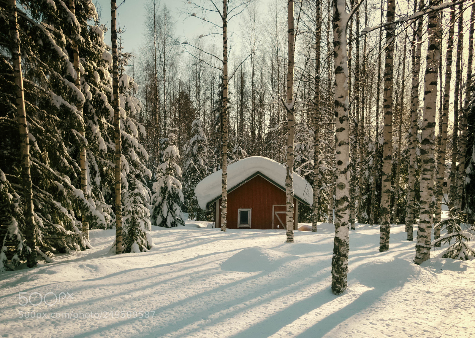 Olympus TG-4 sample photo. Covered in snow photography