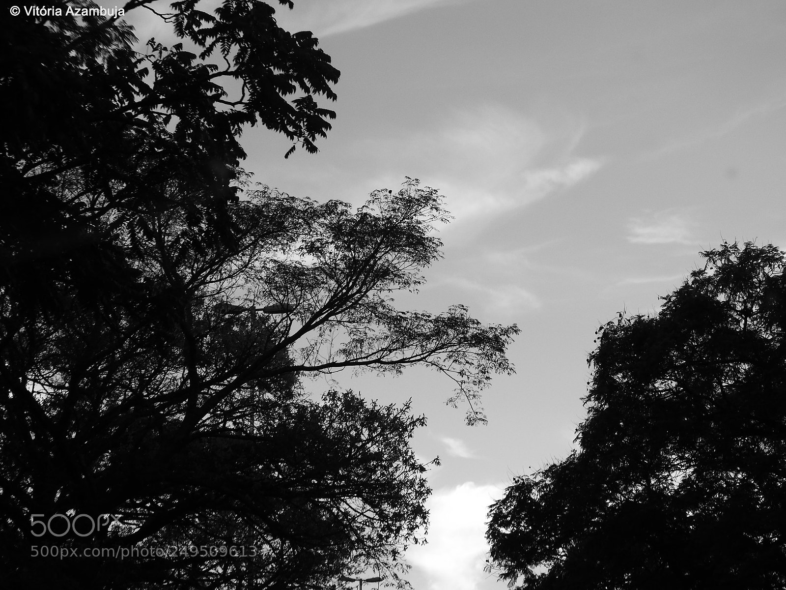 Nikon Coolpix P900 sample photo. Buildings and nature. photography