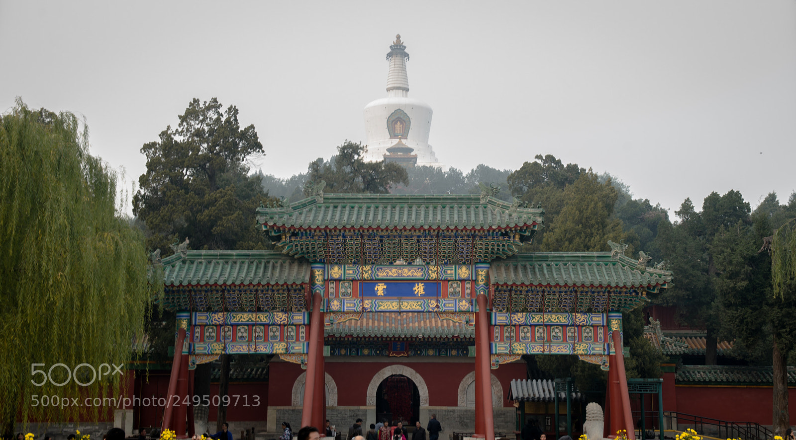 Nikon D4 sample photo. Behai park photography