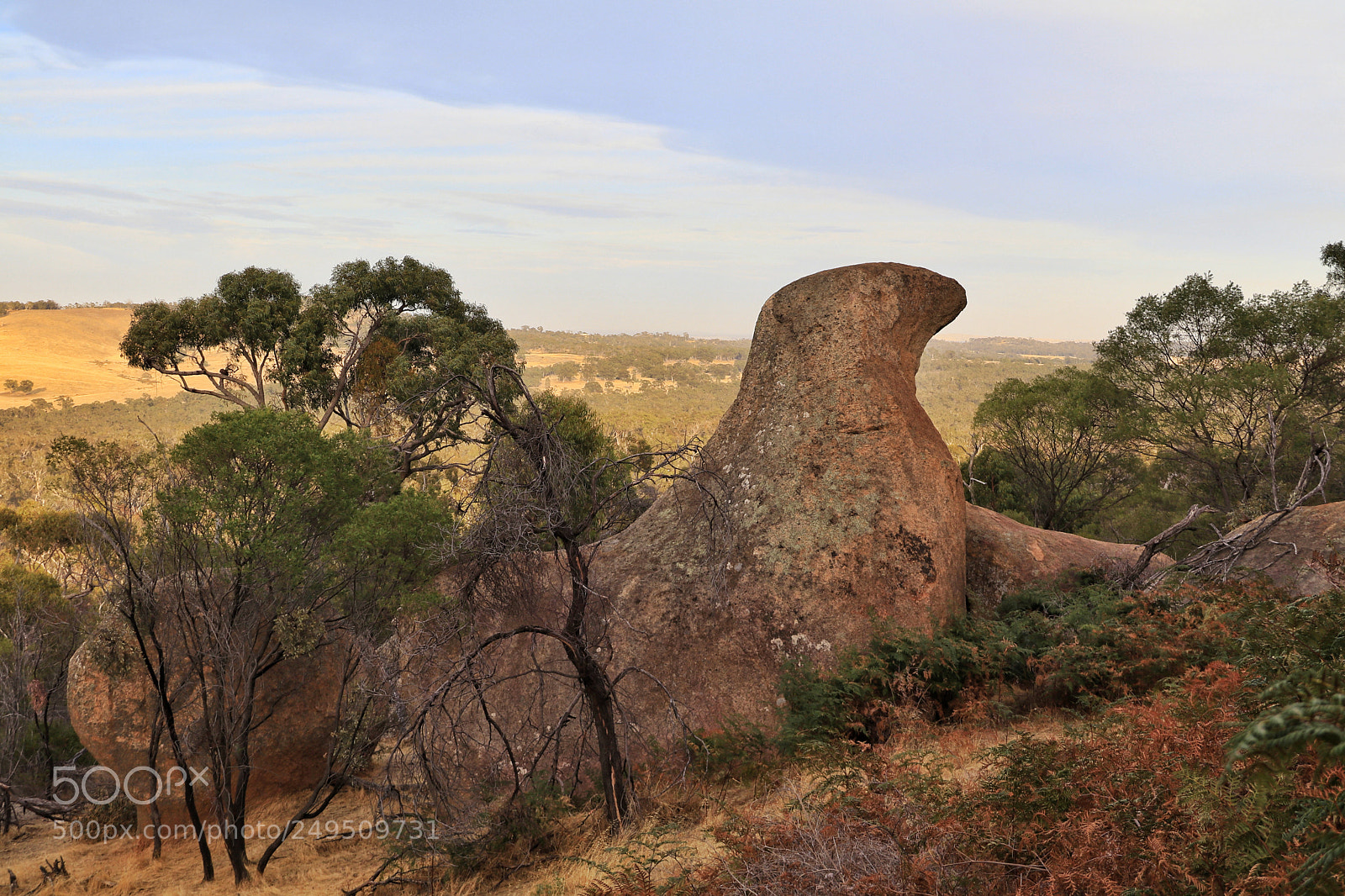 Canon EOS 80D sample photo. Seal rock near melville photography