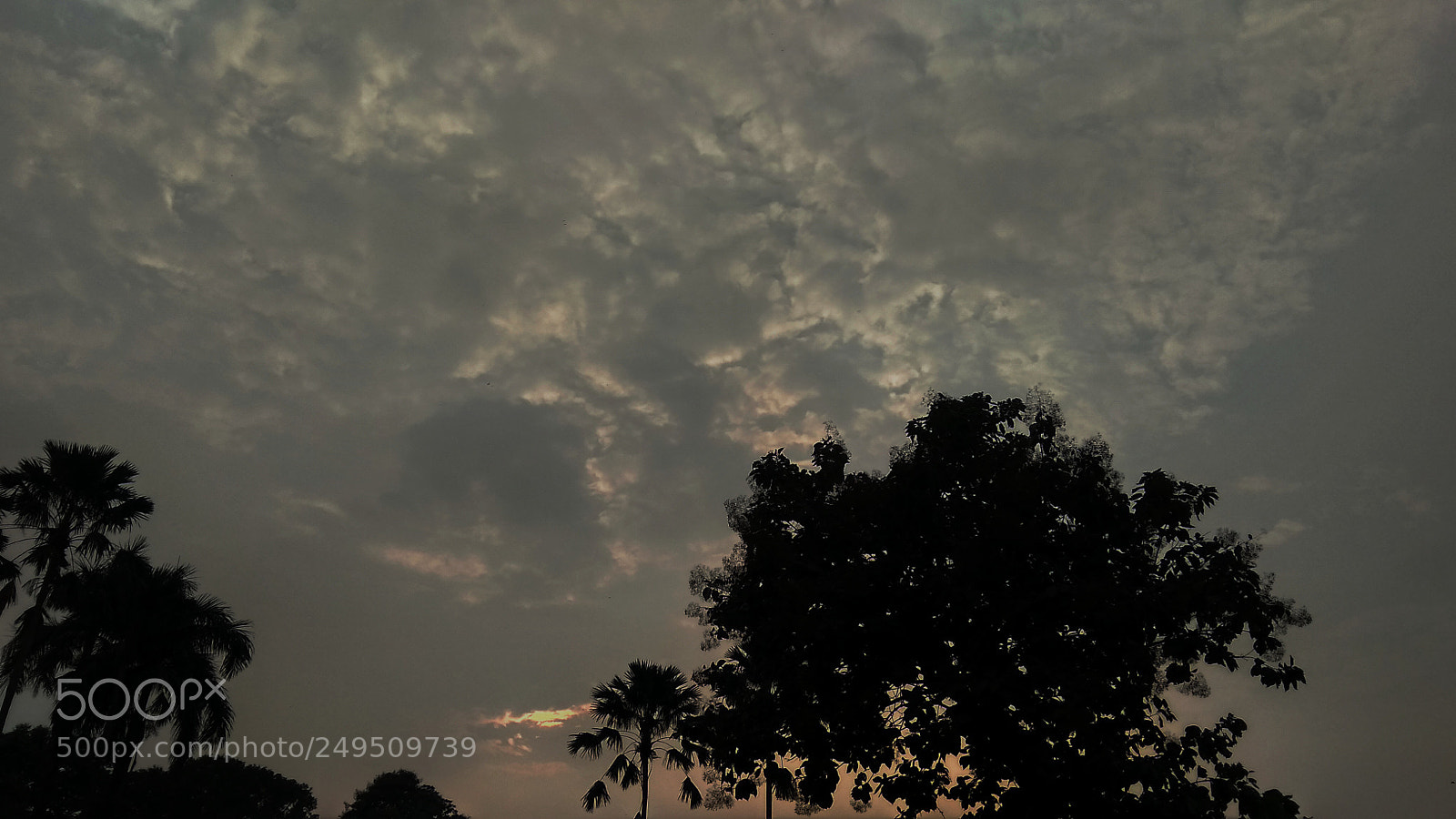 Xiaomi Redmi Note 4 sample photo. Untitled photography