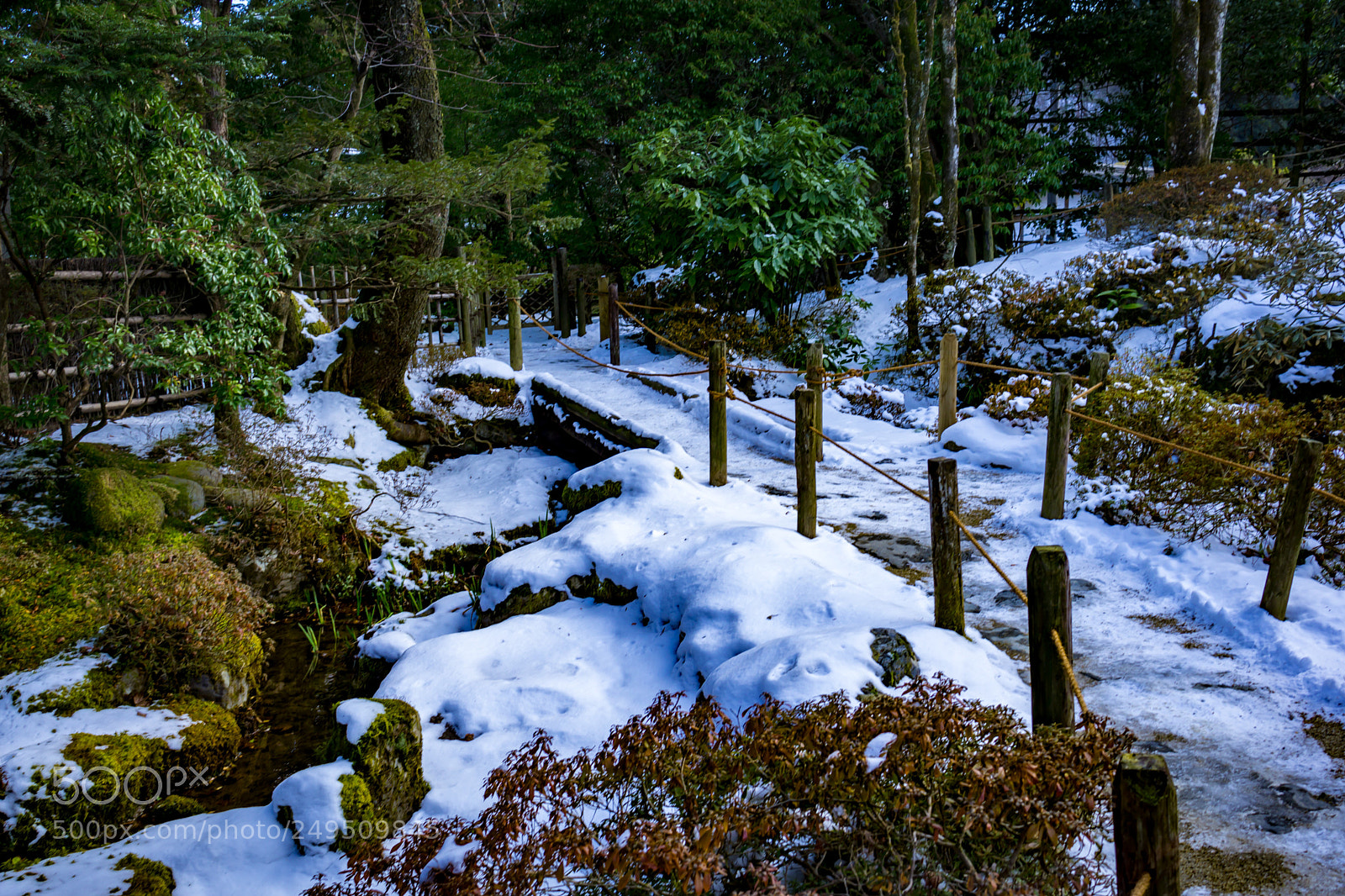 Sony a6000 sample photo. Japanese garden photography