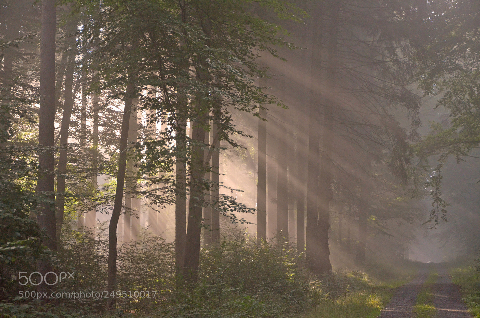 Nikon D5100 sample photo. A fantastic morning ... photography
