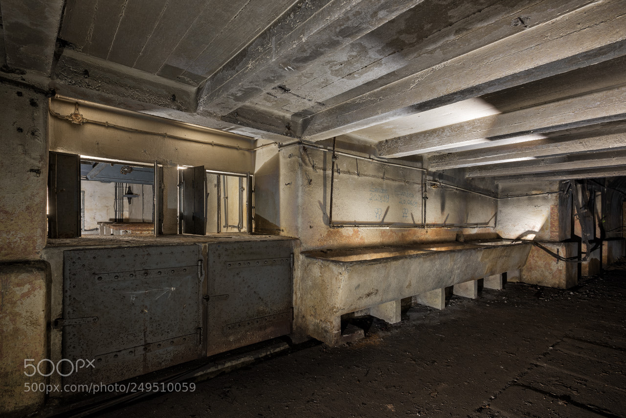 Nikon D600 sample photo. Kitchen food distribution inside photography