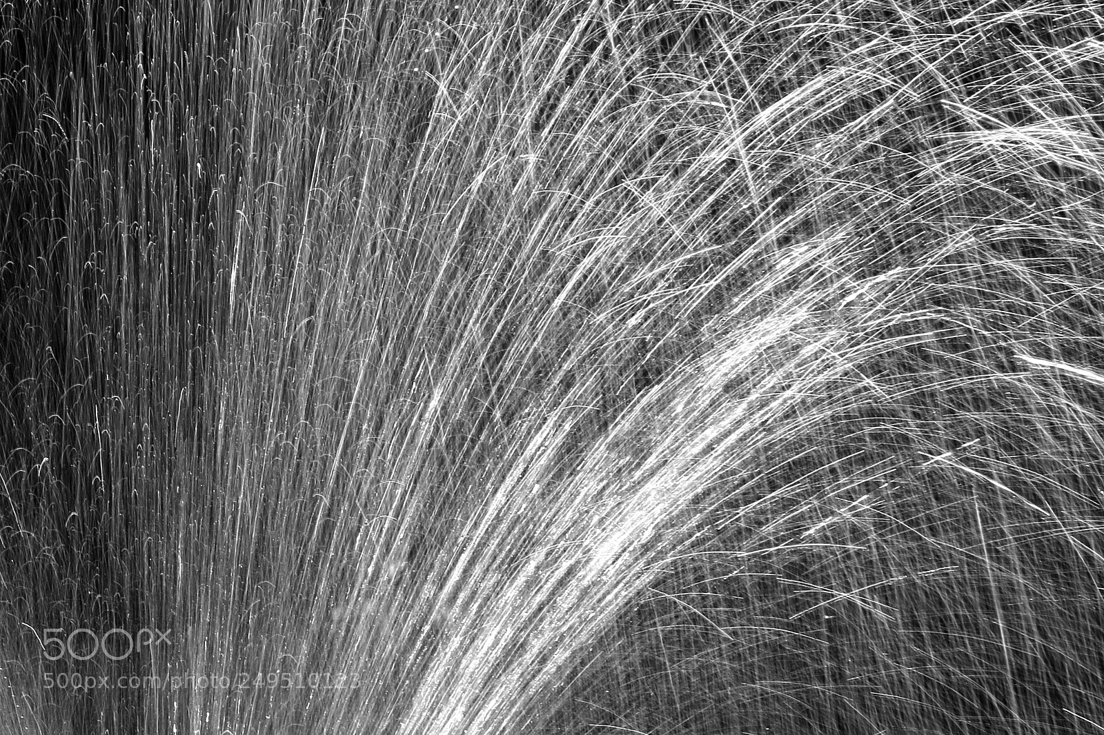 Canon EOS 70D sample photo. Spray photography