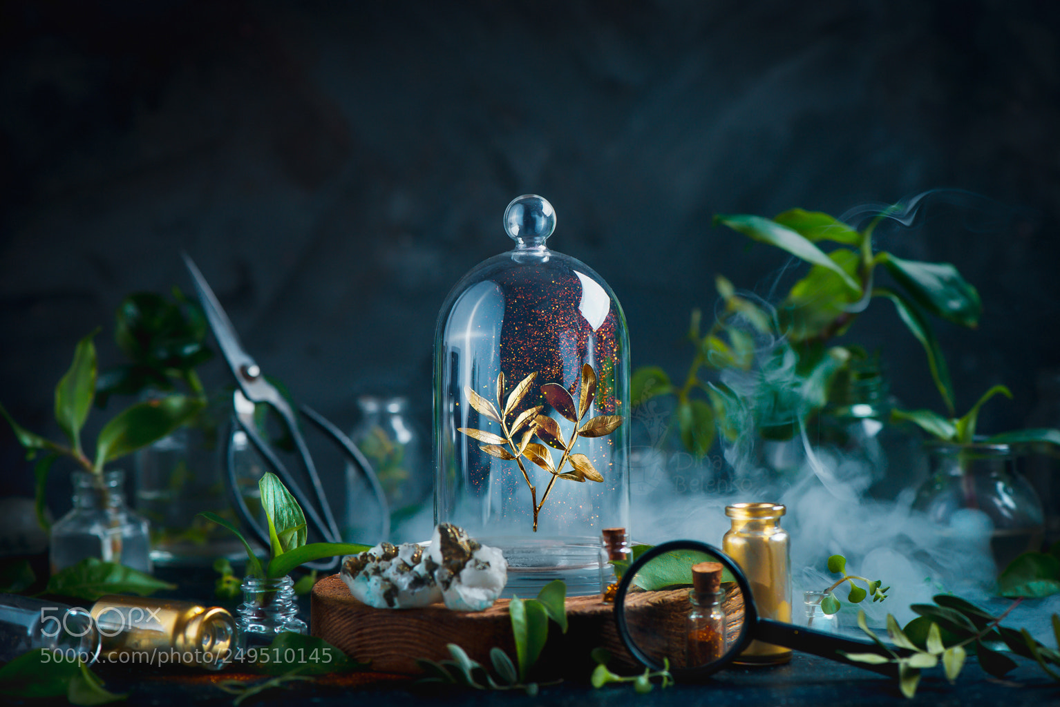 Nikon D800 sample photo. Garden golden keep it photography