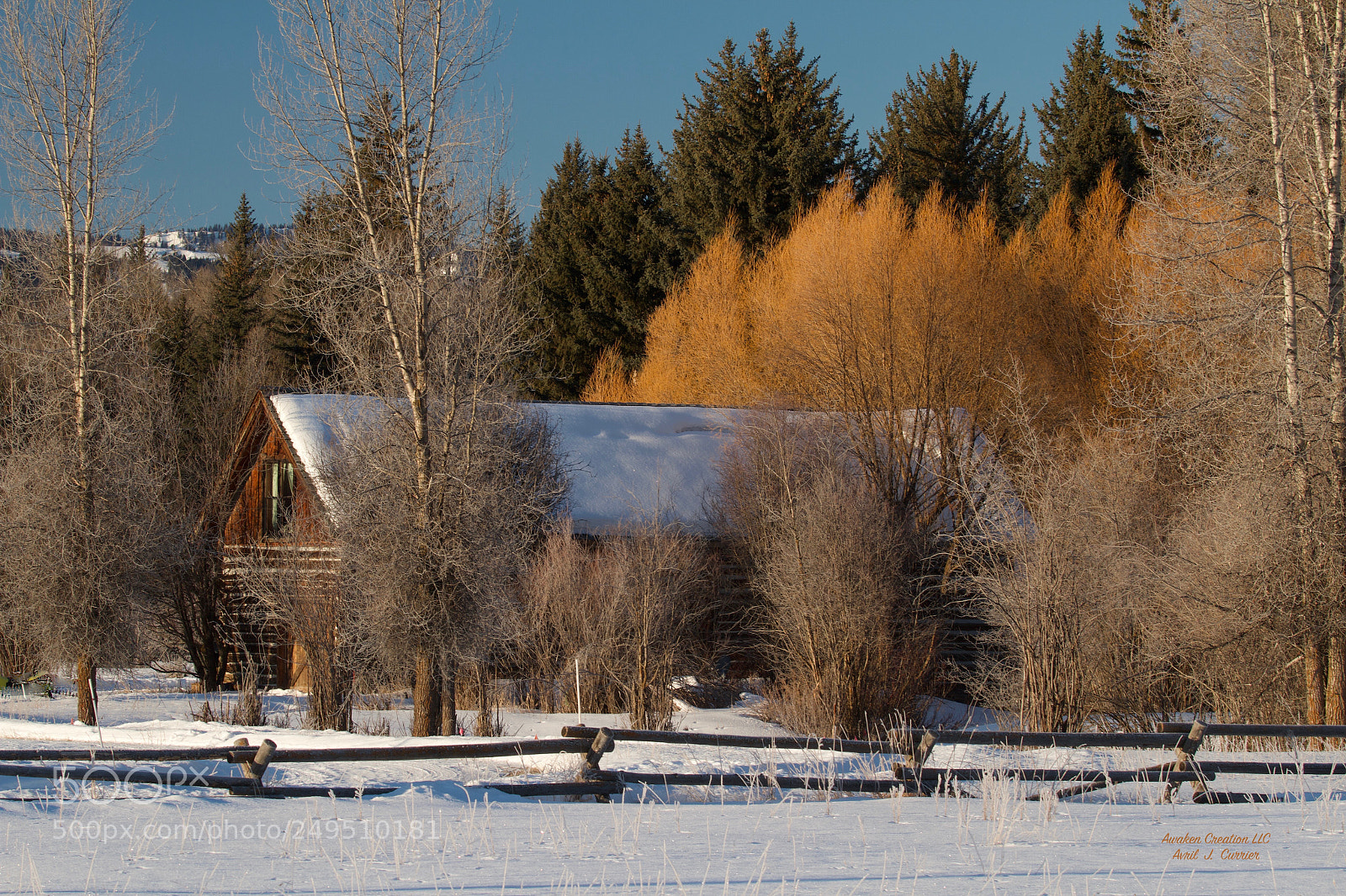 Canon EOS 7D sample photo. Frosty morning photography
