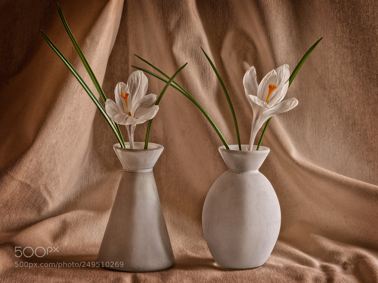 Nikon D90 sample photo. Crocus photography