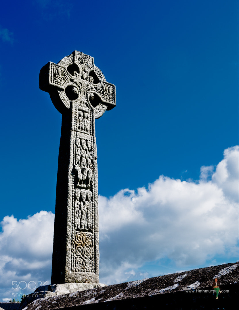 Nikon D7100 sample photo. High cross photography