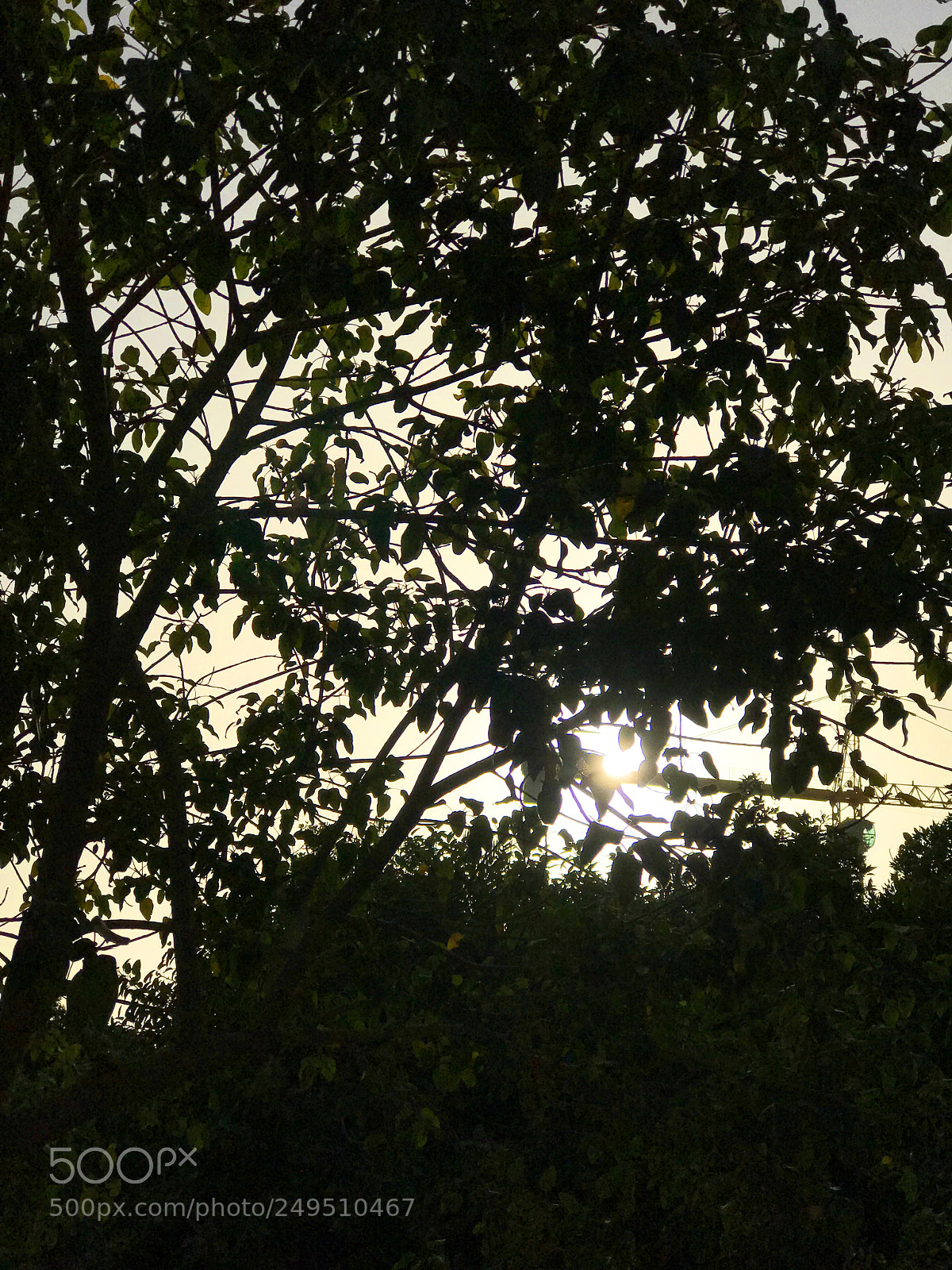 Apple iPhone 7 Plus sample photo. Sunset photography