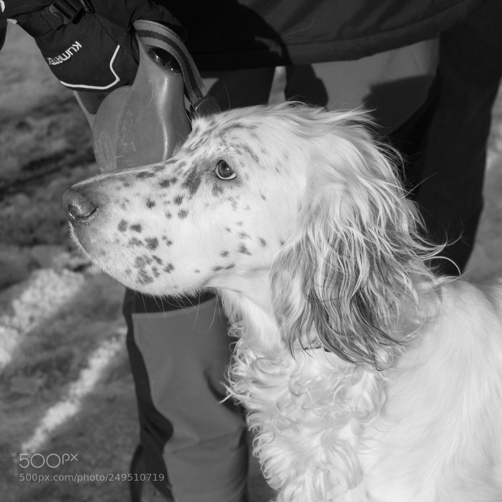 Nikon D3200 sample photo. 24.jpg photography