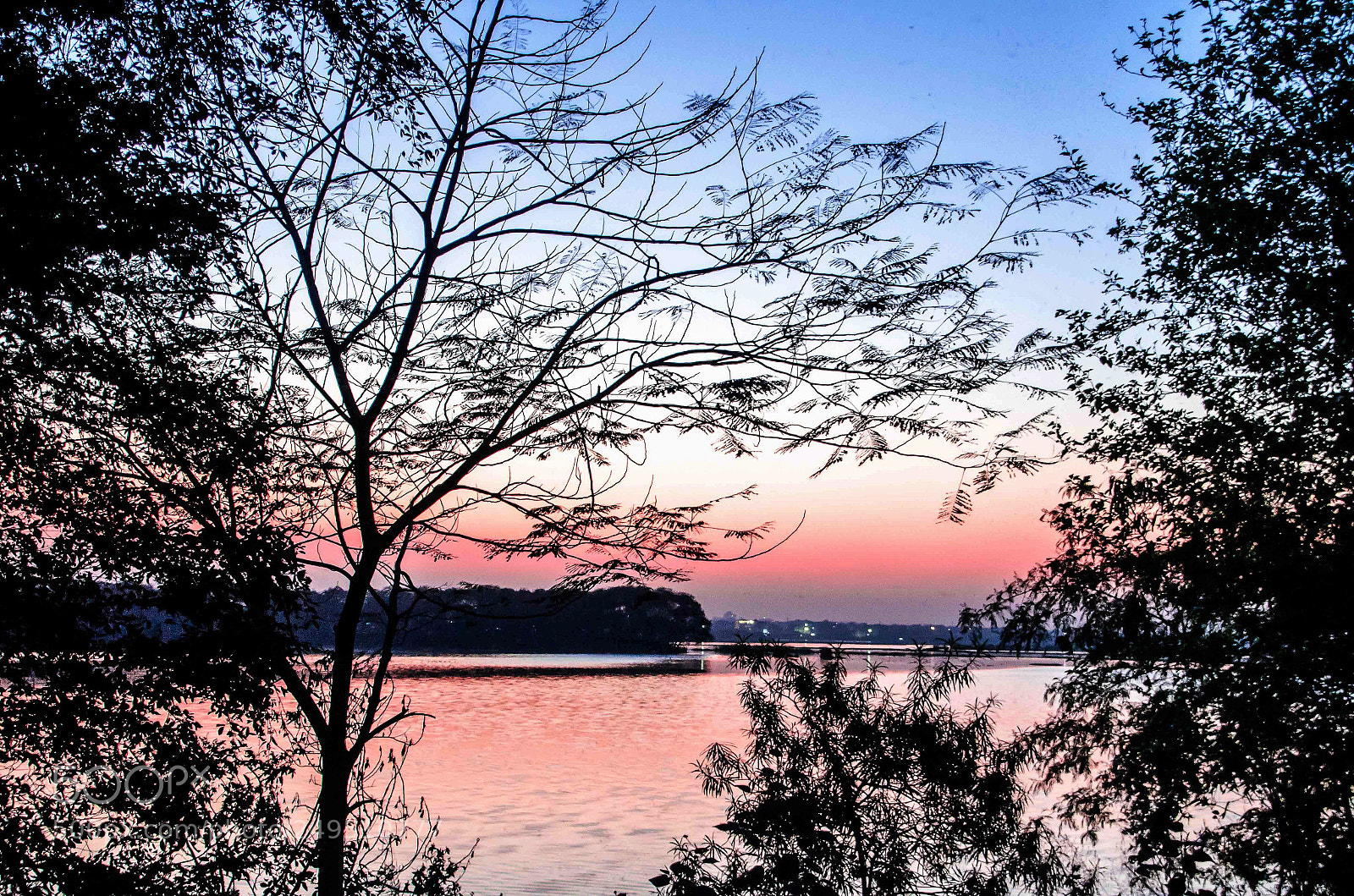 Nikon D5100 sample photo. Pleasant photography