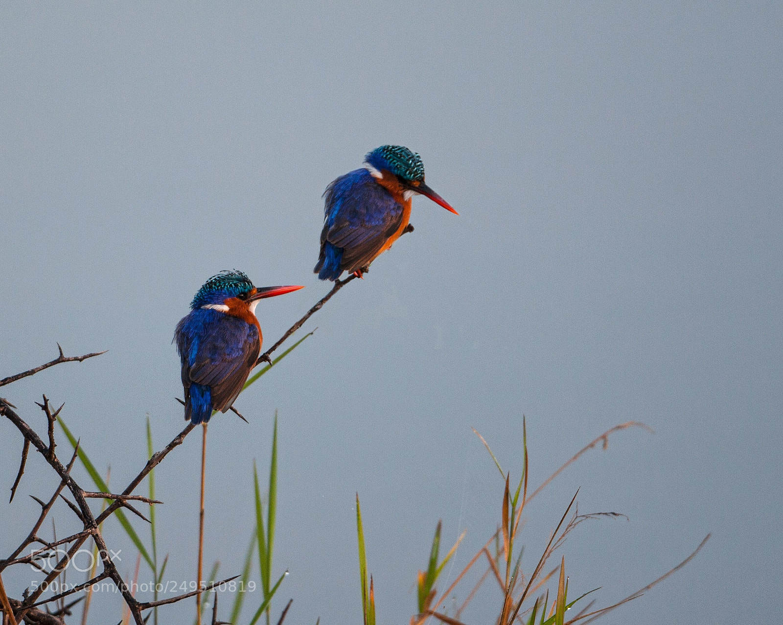 Canon EOS 30D sample photo. Pair photography