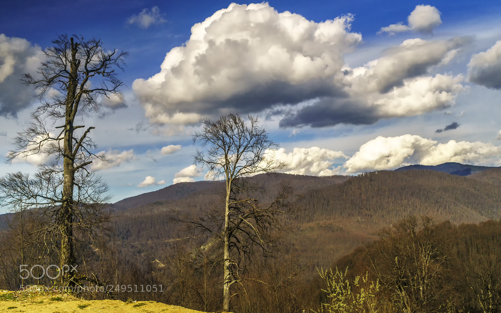Sony a7R II sample photo. Bolu da t rkiye photography